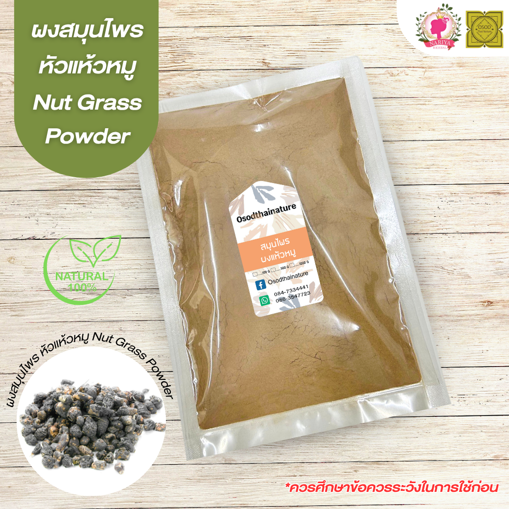 ผงแห้วหมู (Nut Grass Powder) ขนาด 500 1000 กรัม ผงหัวแห้วหมู บดละเอียด สมุนไพร แท้ 100 % FG-HBP-100