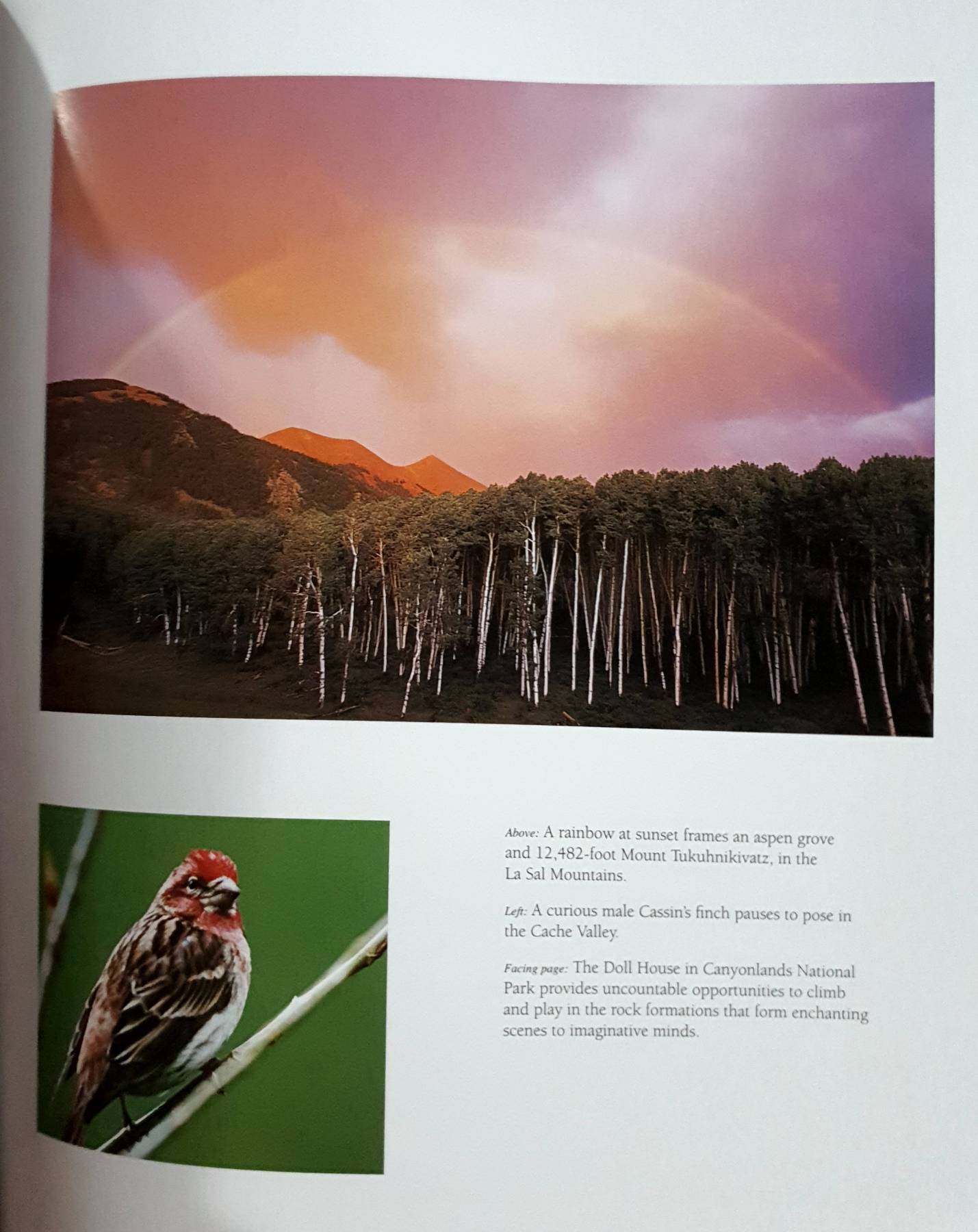 Utah Wild and Beautiful Hardcover – Illustrated,