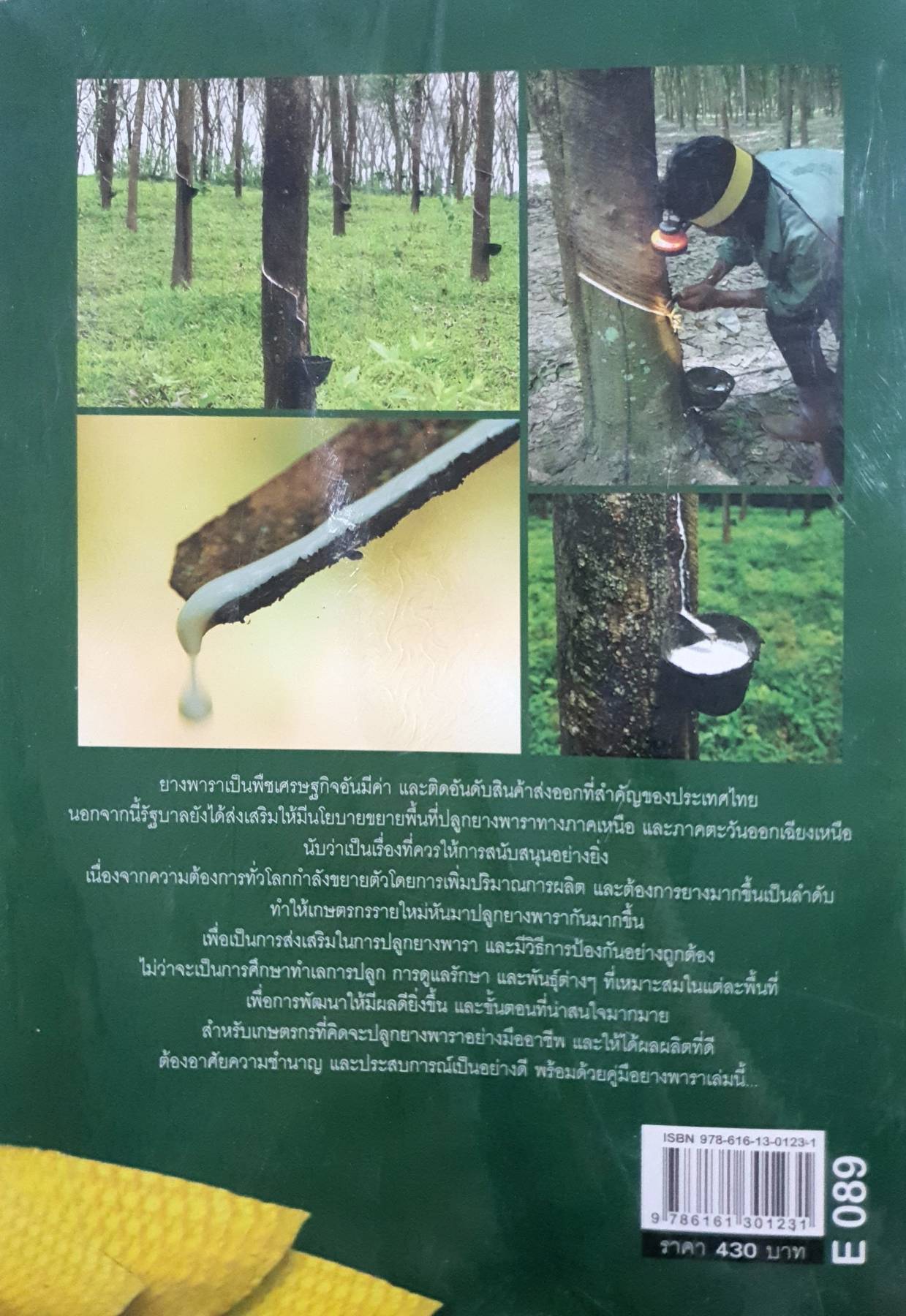 คู่มือการปลูกและขยายพันธุ์ ยางพารา ไม้เศรษฐกิจ สร้างชาติ สร้างชีวิต ผู้เขียน : ปรัชญา รัศมีธรรมวงศ์