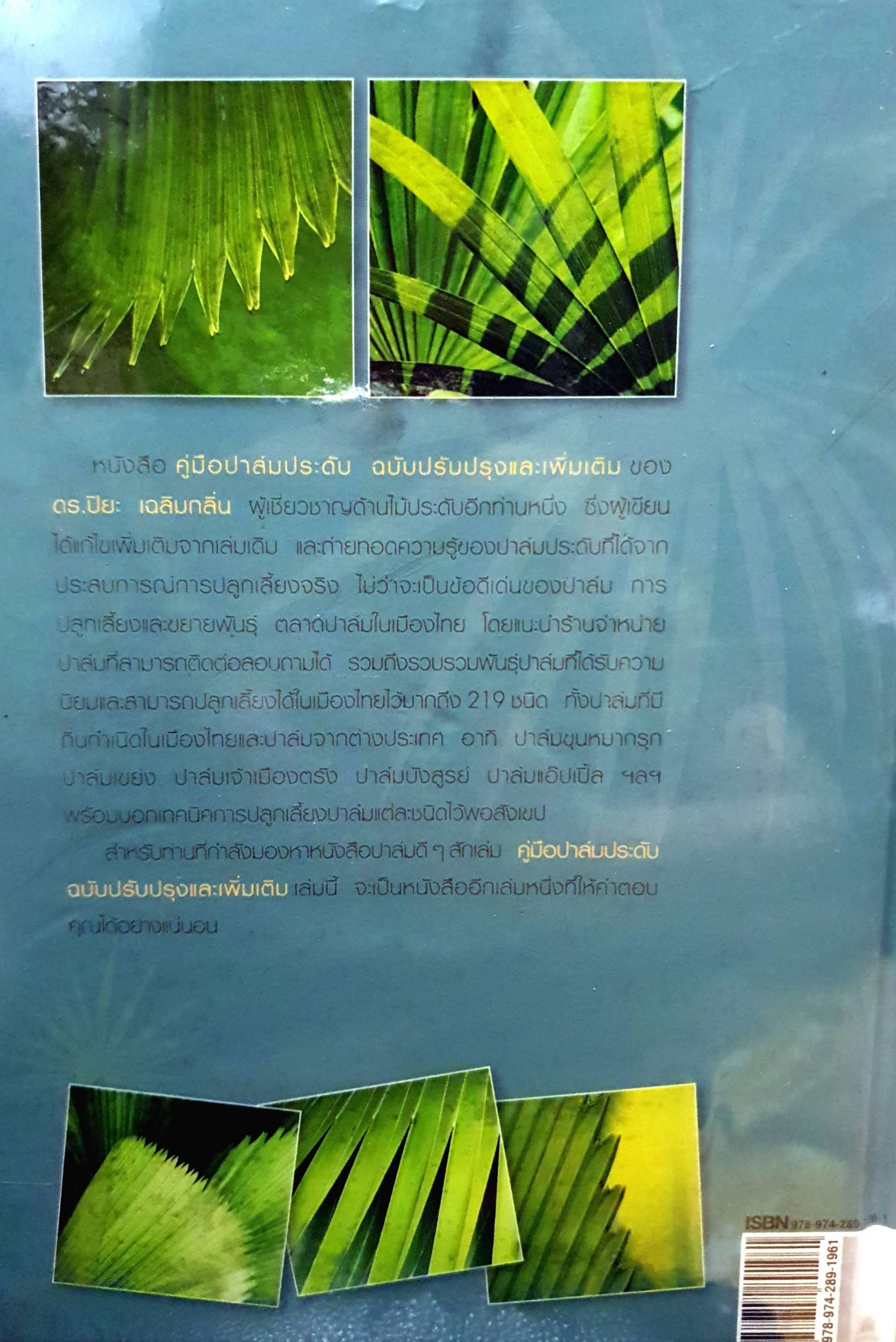 คู่มือปาล์มประดับ Ornamental Palm
