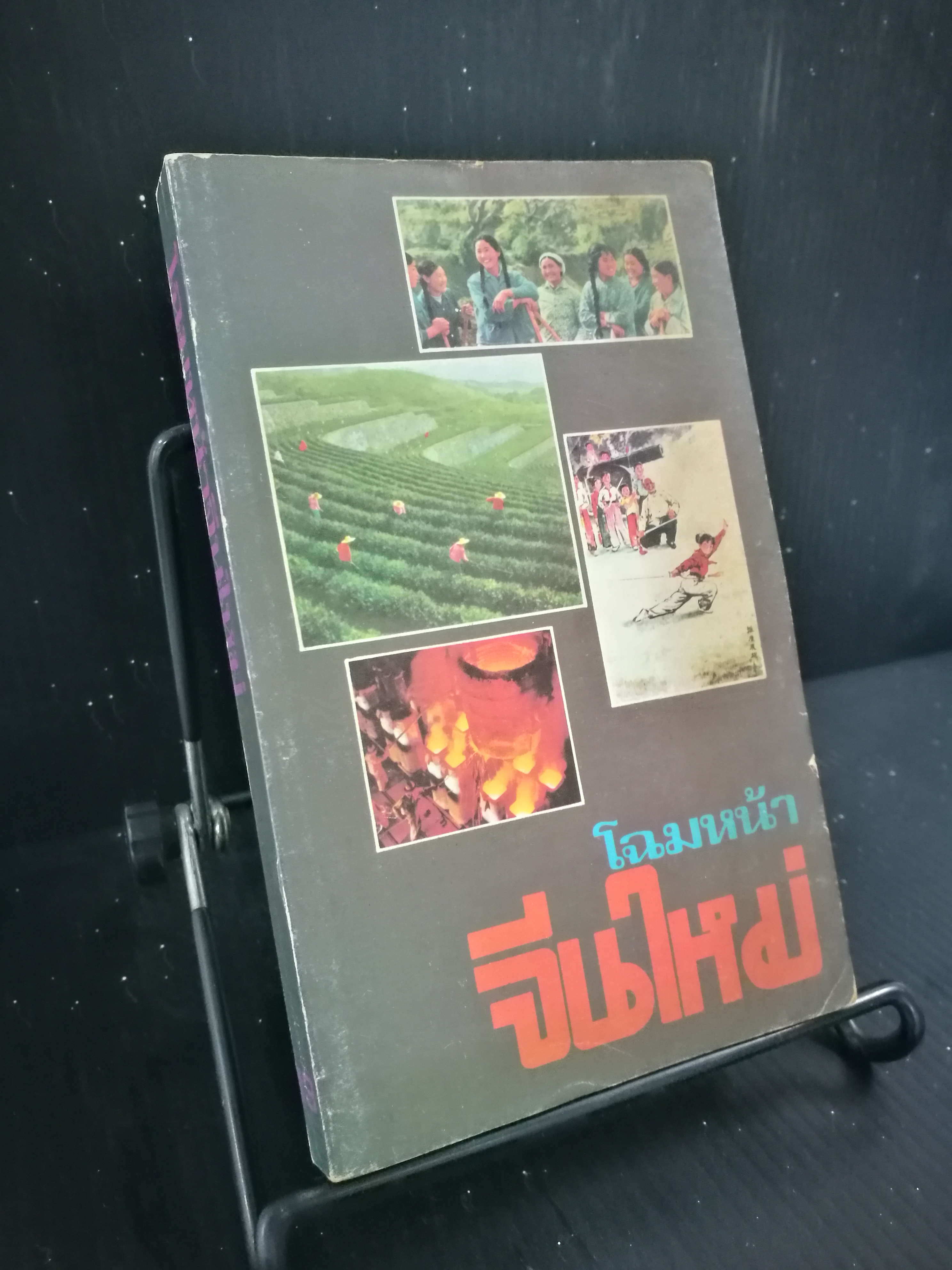 โฉมหน้าจีนใหม่ - หนังสือต้องห้าม