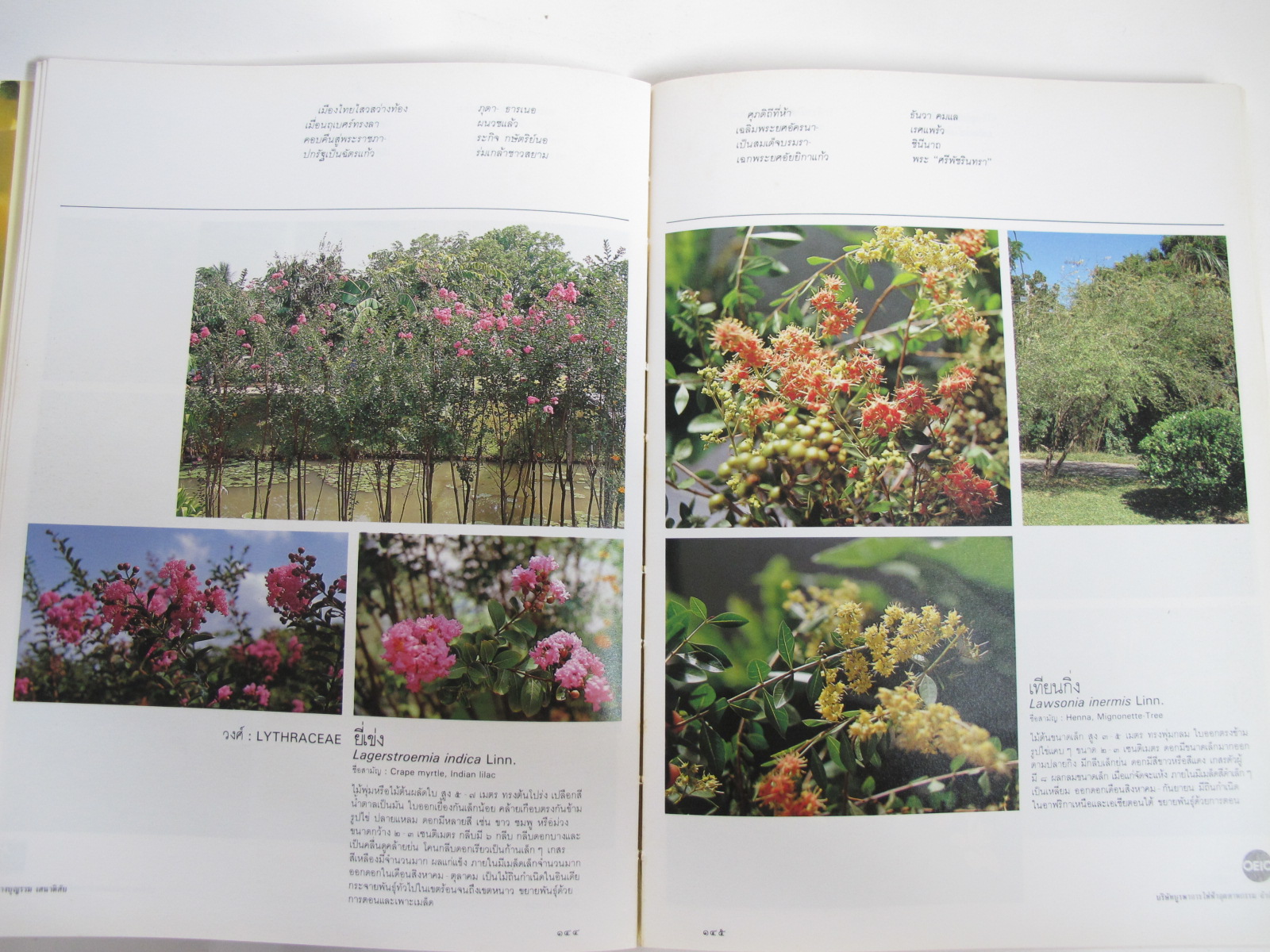 มูลนิธิสวนหลวง ร.9 ร่วมกับกรุงเทพมหานครและประชาชนสร้างสวนสาธารณะแห่งใหม่