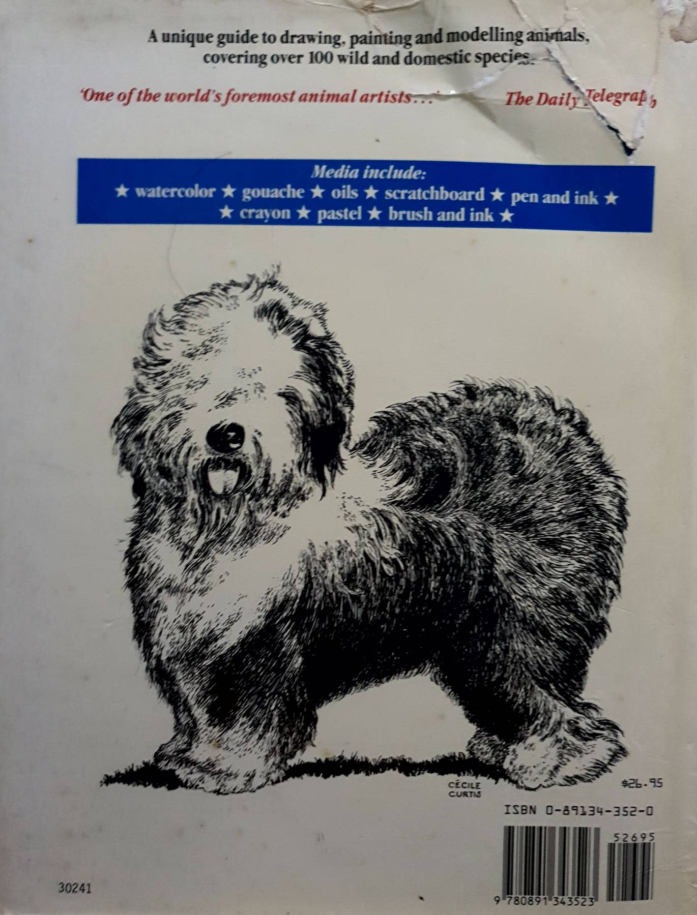 Drawing and Painting Animals : Cecile Curtis (Hardcover) 1990