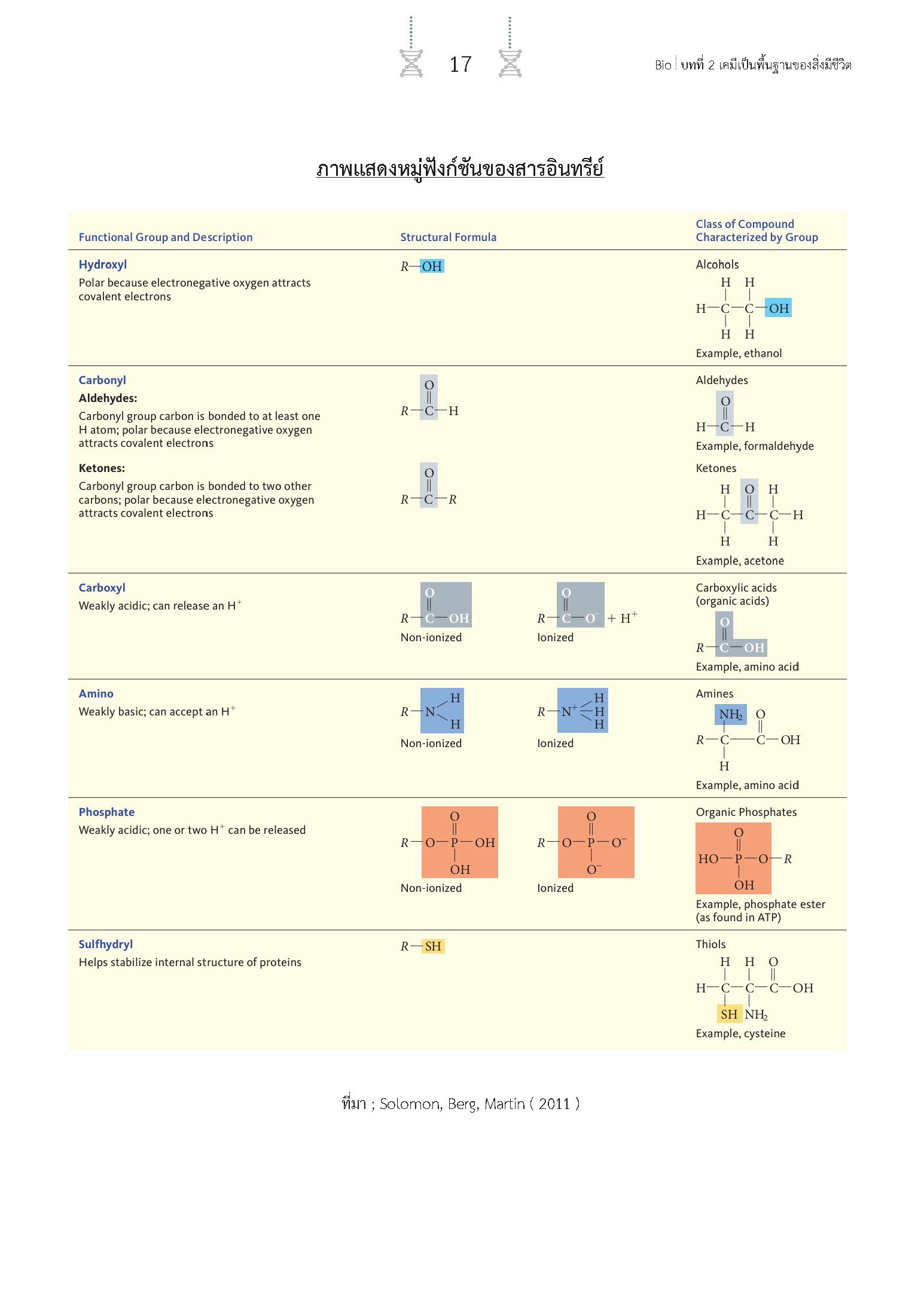สรุปเข้ม ชีววิทยา เล่ม 1 (พิมพ์ 4 สี)