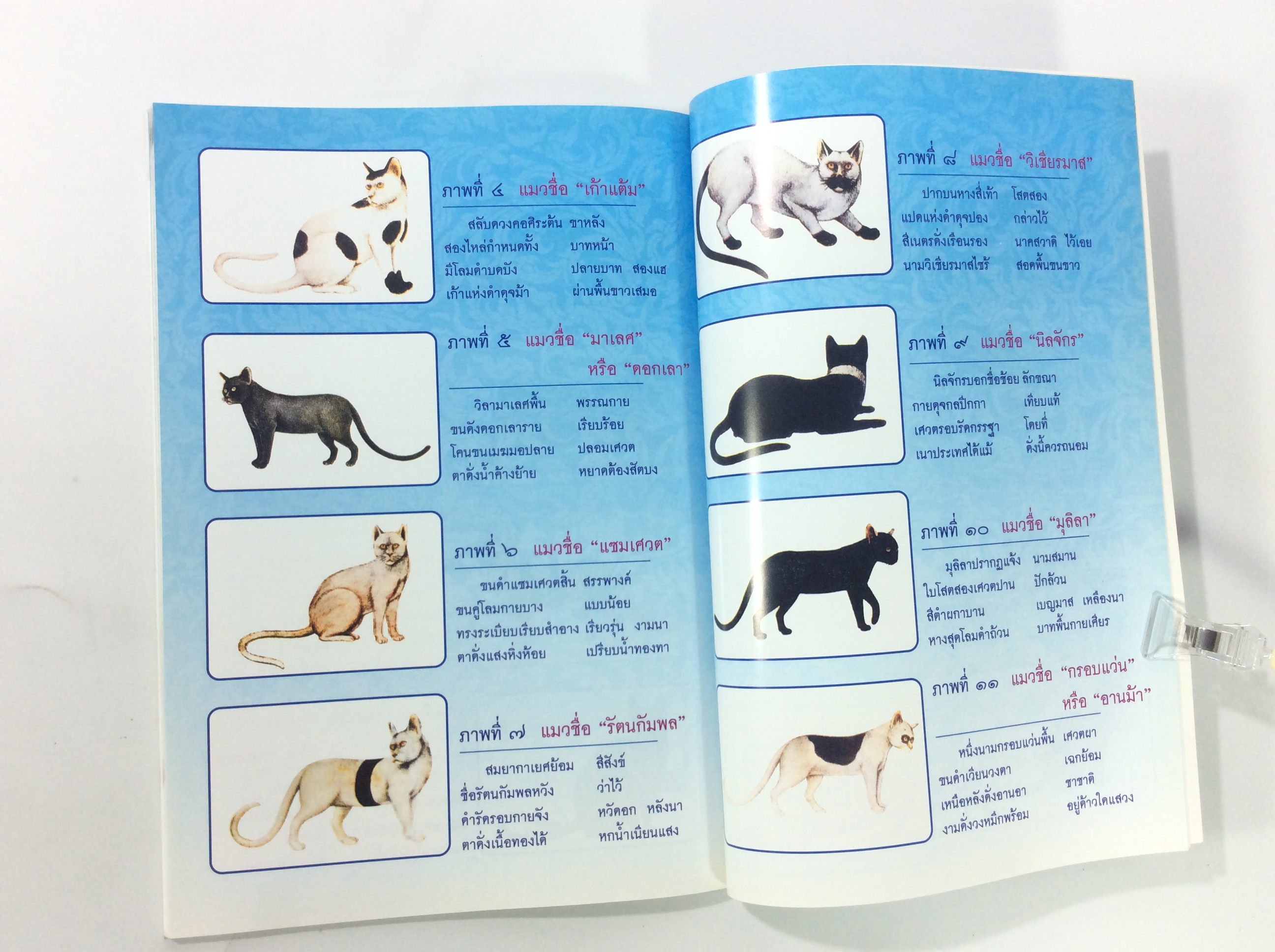 พระเครื่องวัดอนงค์ หนังสือพระเครื่อง หนังสือสะสม หนังสือ หายาก