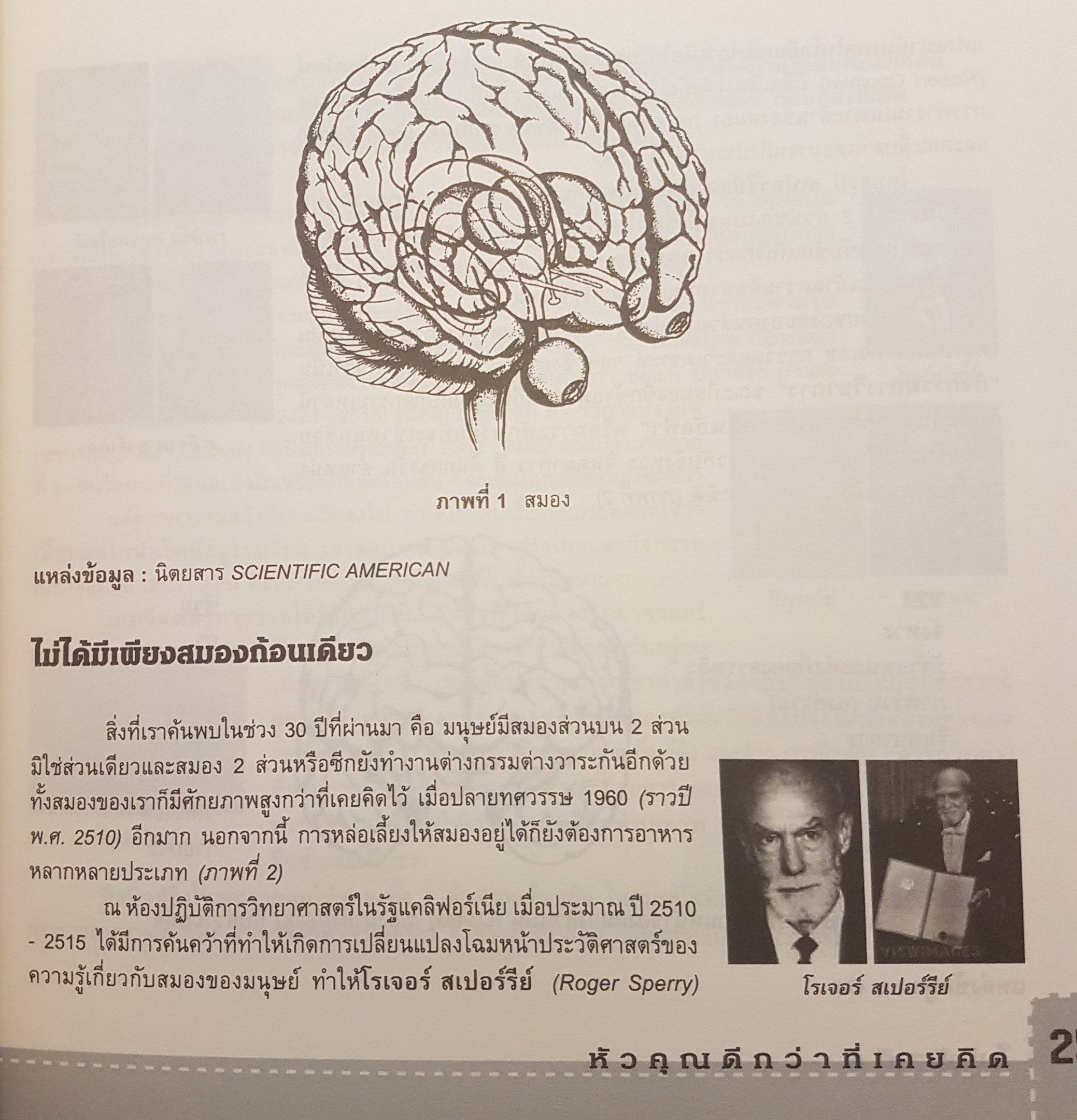 1.ใช้หัวคิด Use Your Head by Tony buzan 2. Brain Fitness@work ฟิตเนสสมอง