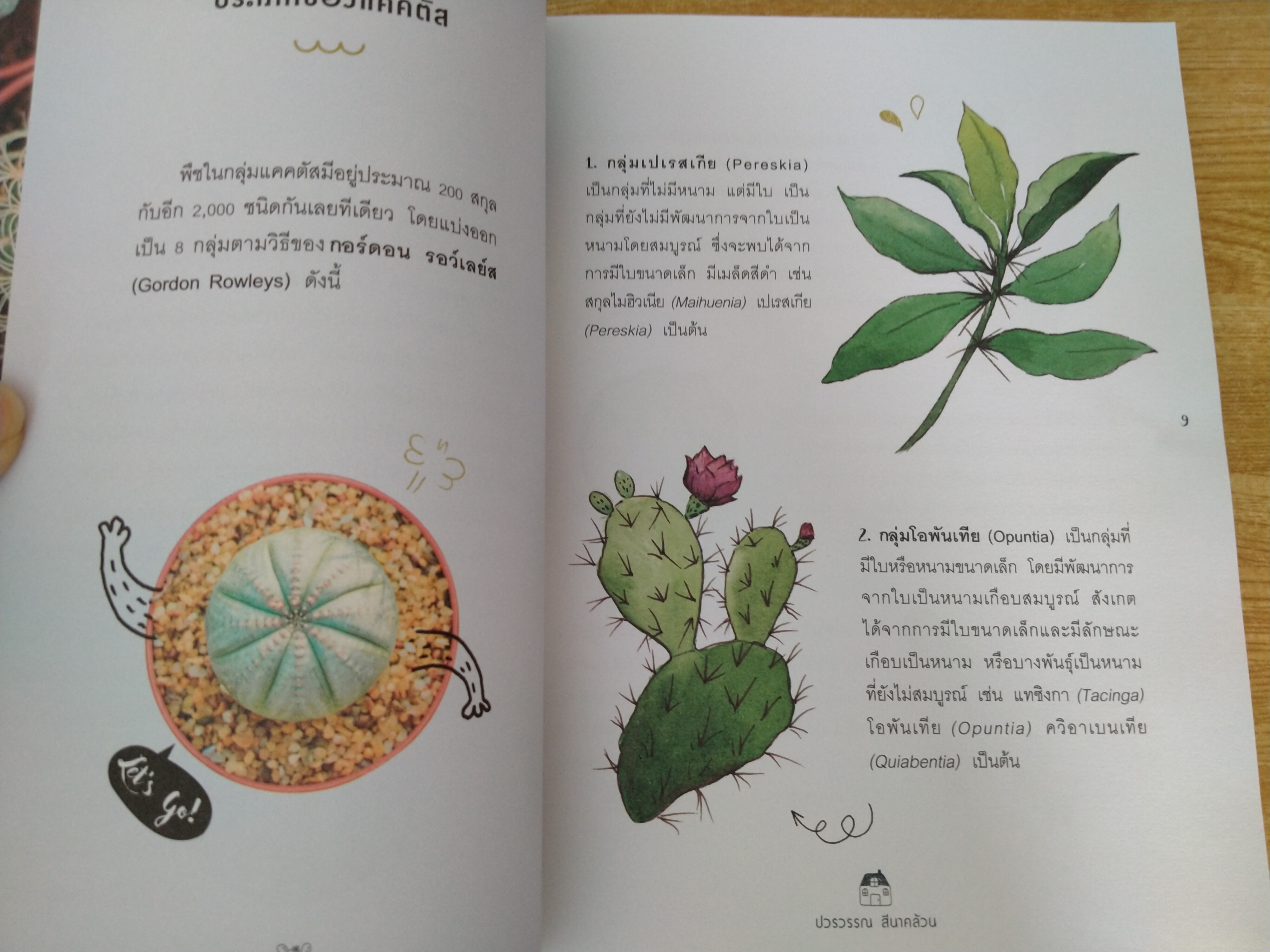 ตกหลุมรักแคคตัสจังเลย