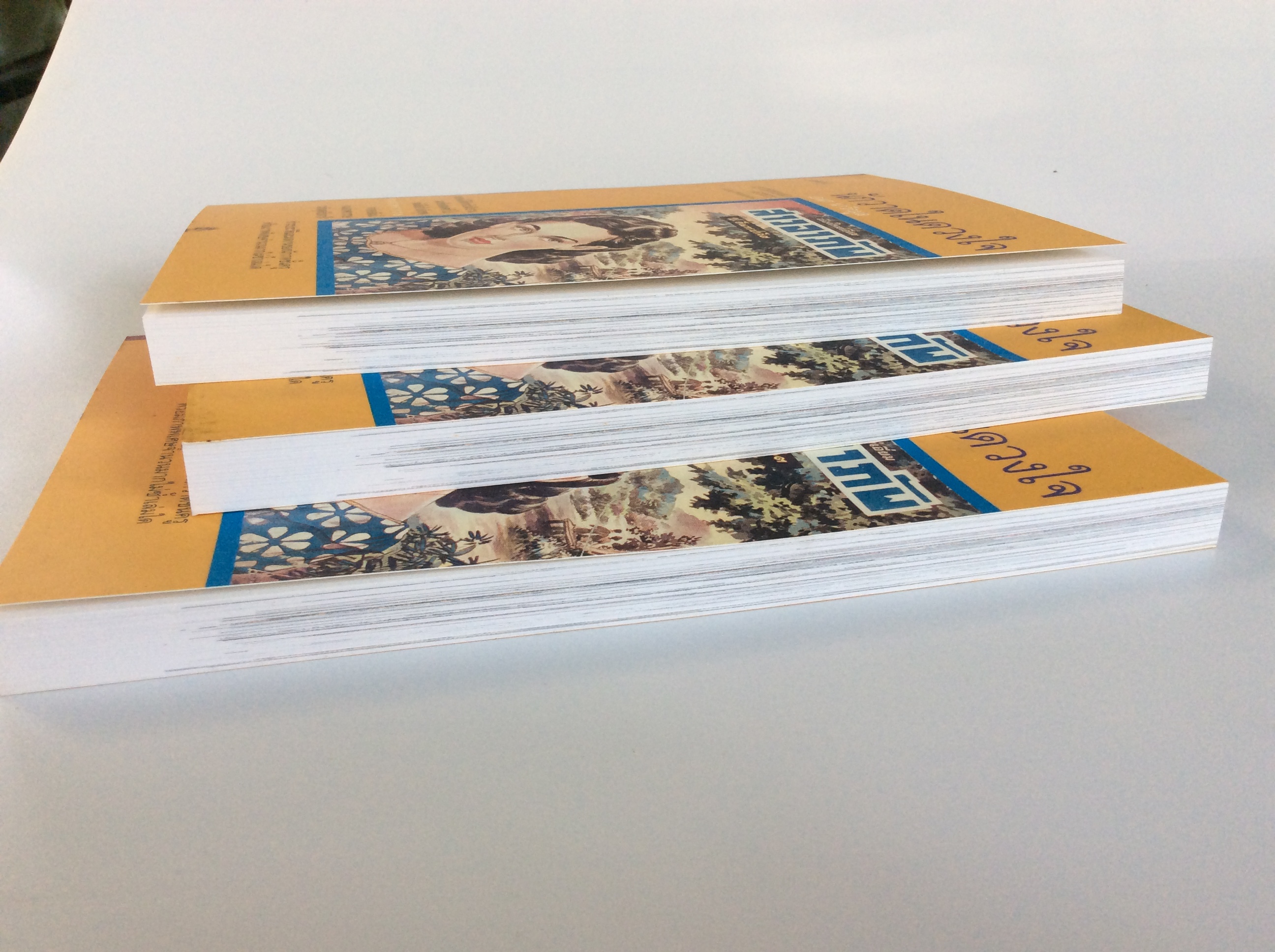 นักวาดในดวงใจ ชำระประวัติและผลงานของนักวาดชั้นครู หนังสือ ชีวประวัติ บุคคล