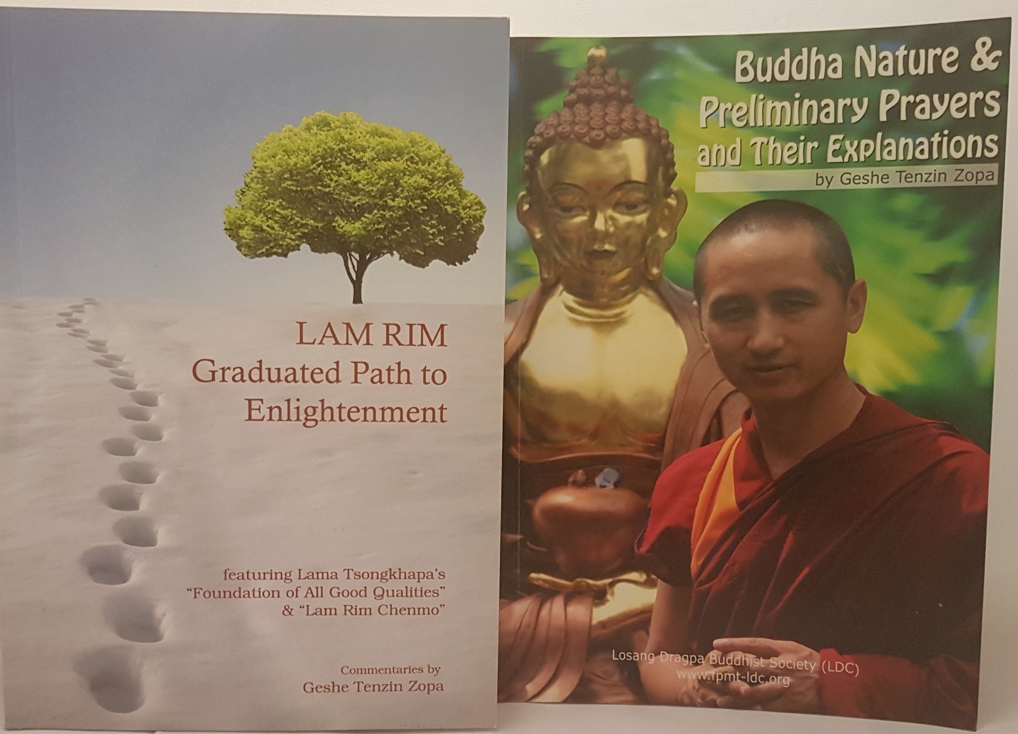 Buddha Nature & Preliminary Prayers and their Explanations