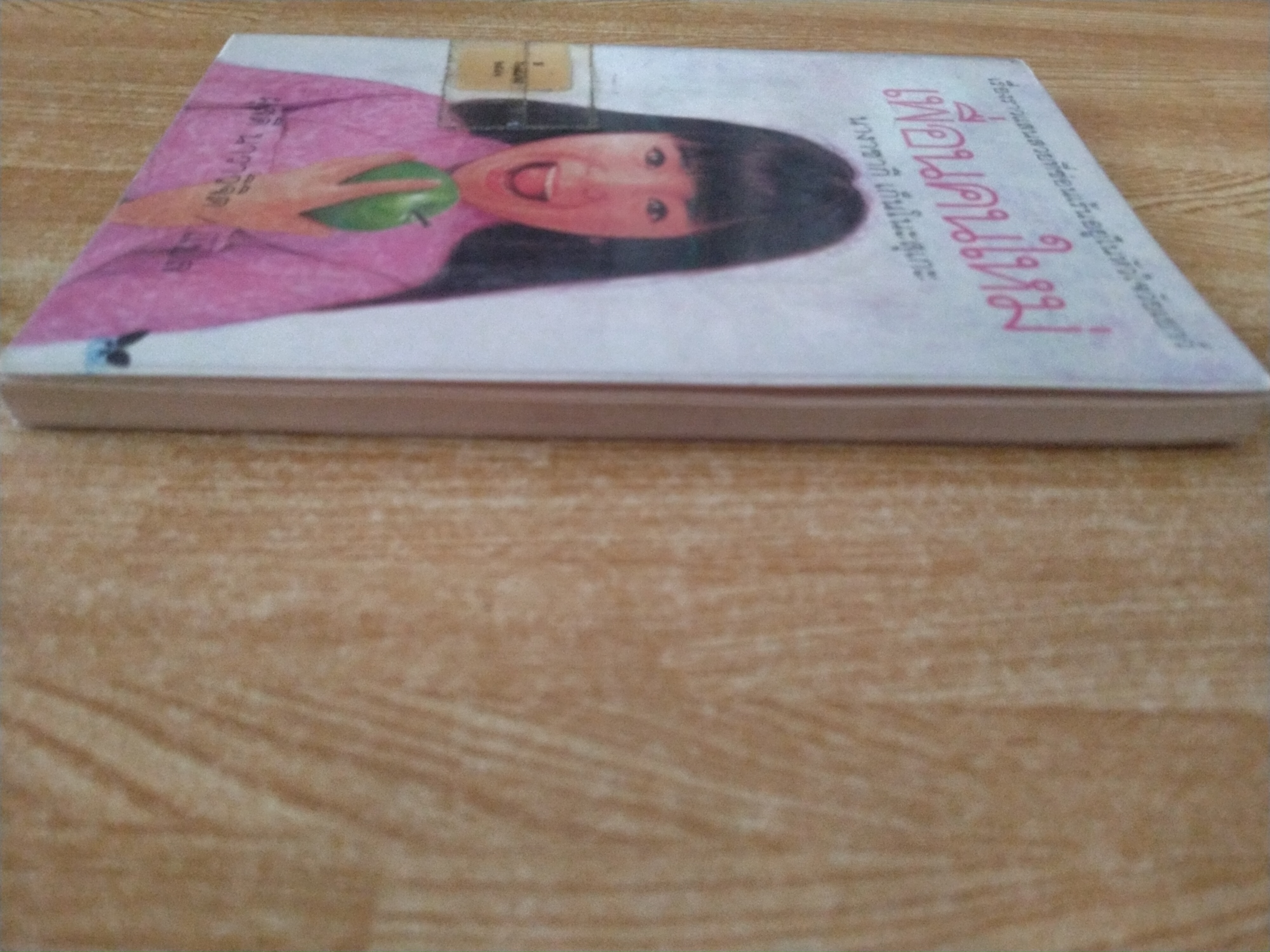 เพื่อนคนใหม่