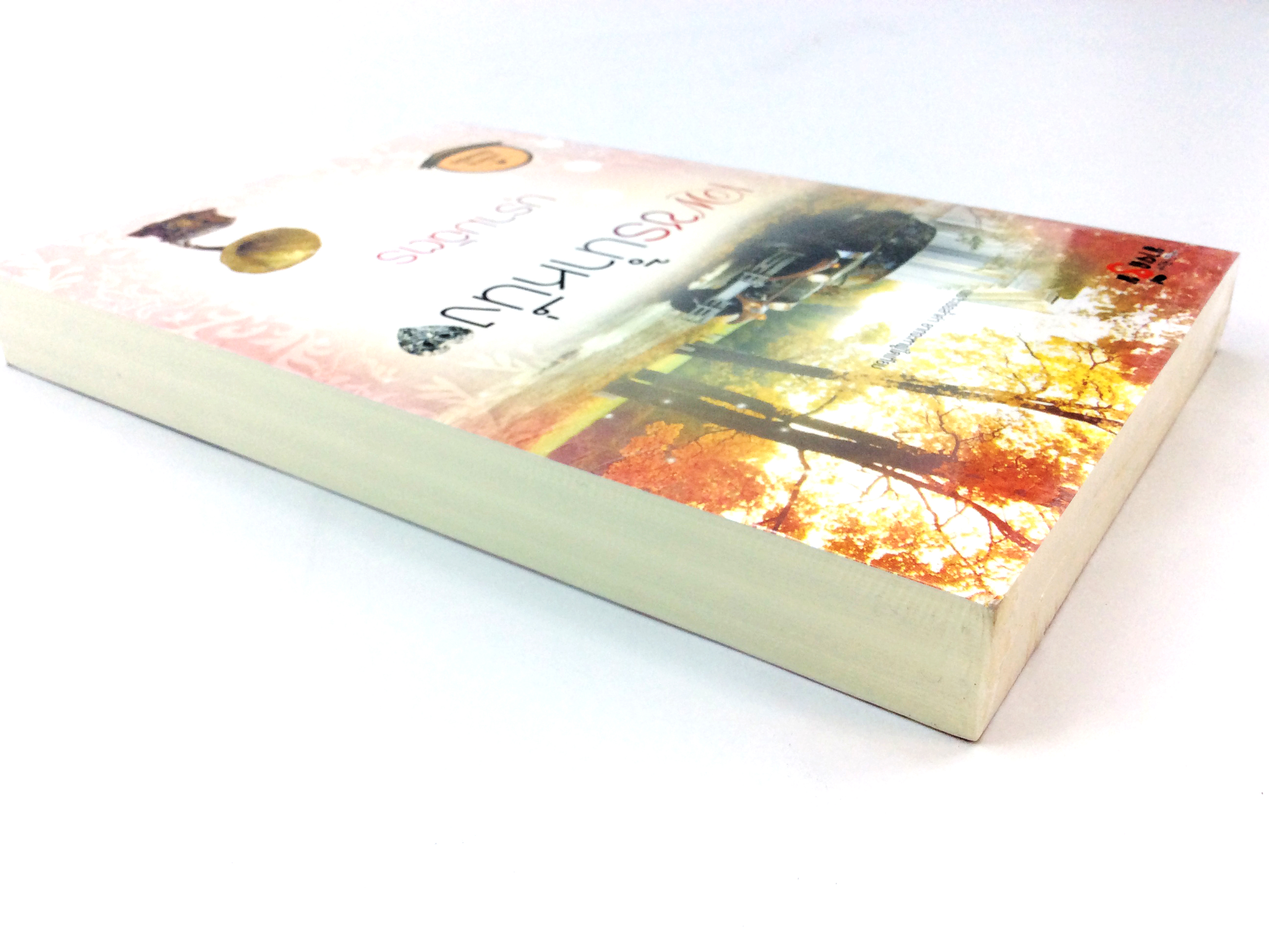 เพชรน้ำหนึ่ง นิยาย นิยายลดราคา หนังสือ นิยาย