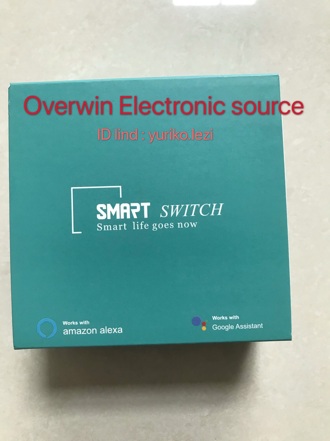 SMART SWITCH (DS-101)