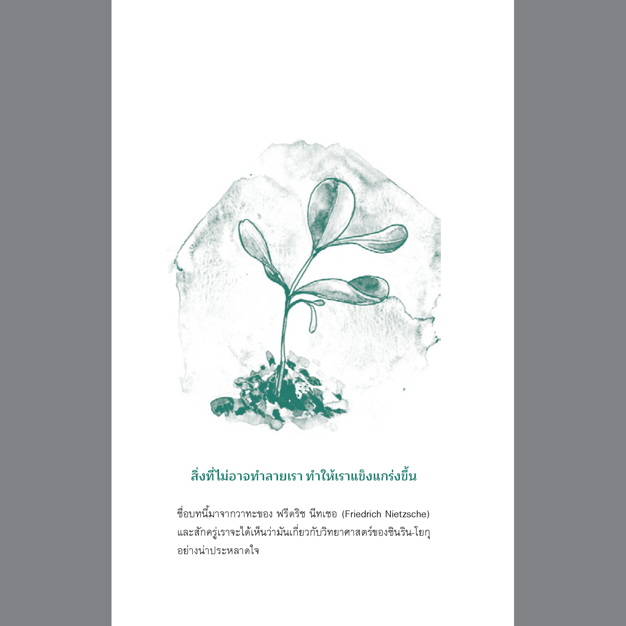 อาบป่า ชินริน-โยกุ วิถีแห่งการฟื้นฟูชีวิต