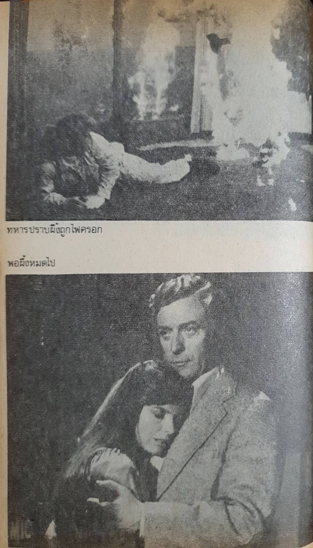 ผึ้ง (The Swarm) ผลงานของ อาร์เธอร์ เฮอร์ช็อก (Arthur Herzog)