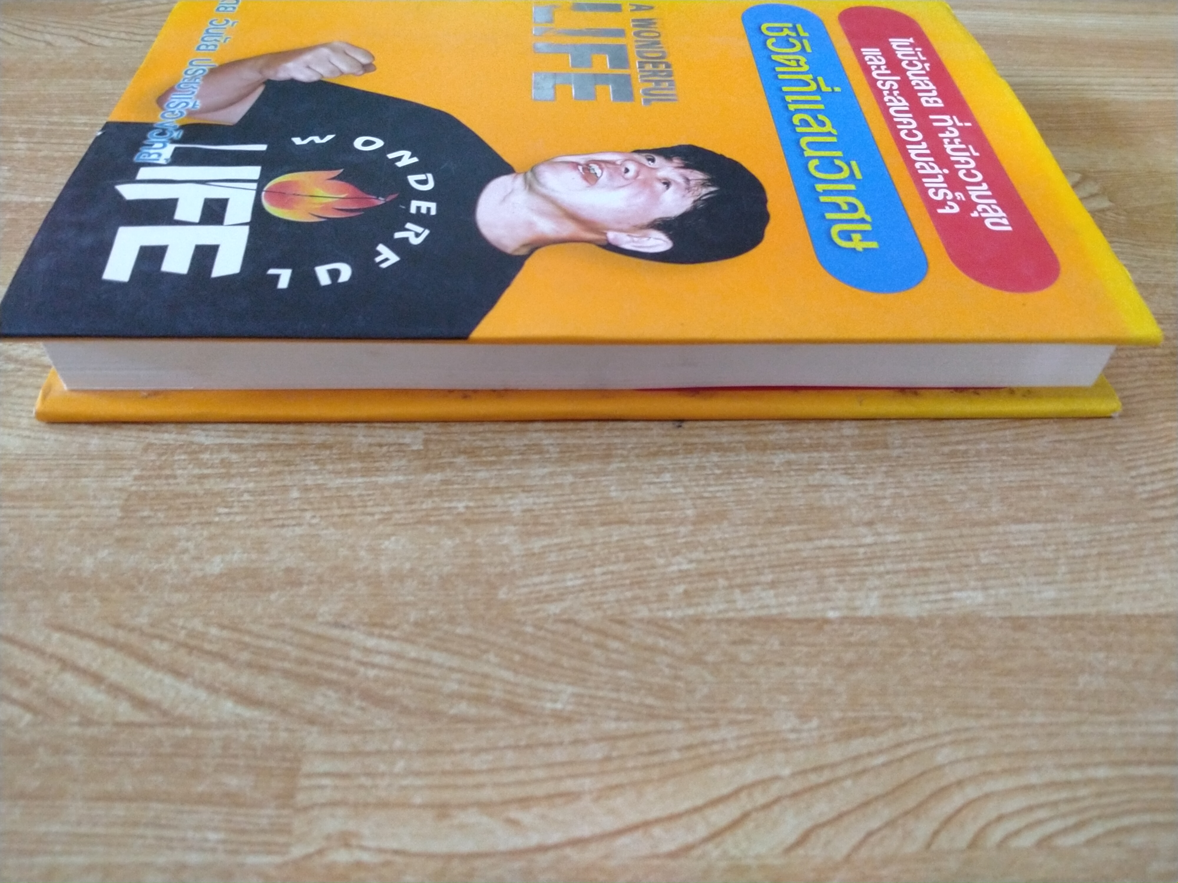 ชีวิตที่แสนวิเศษ