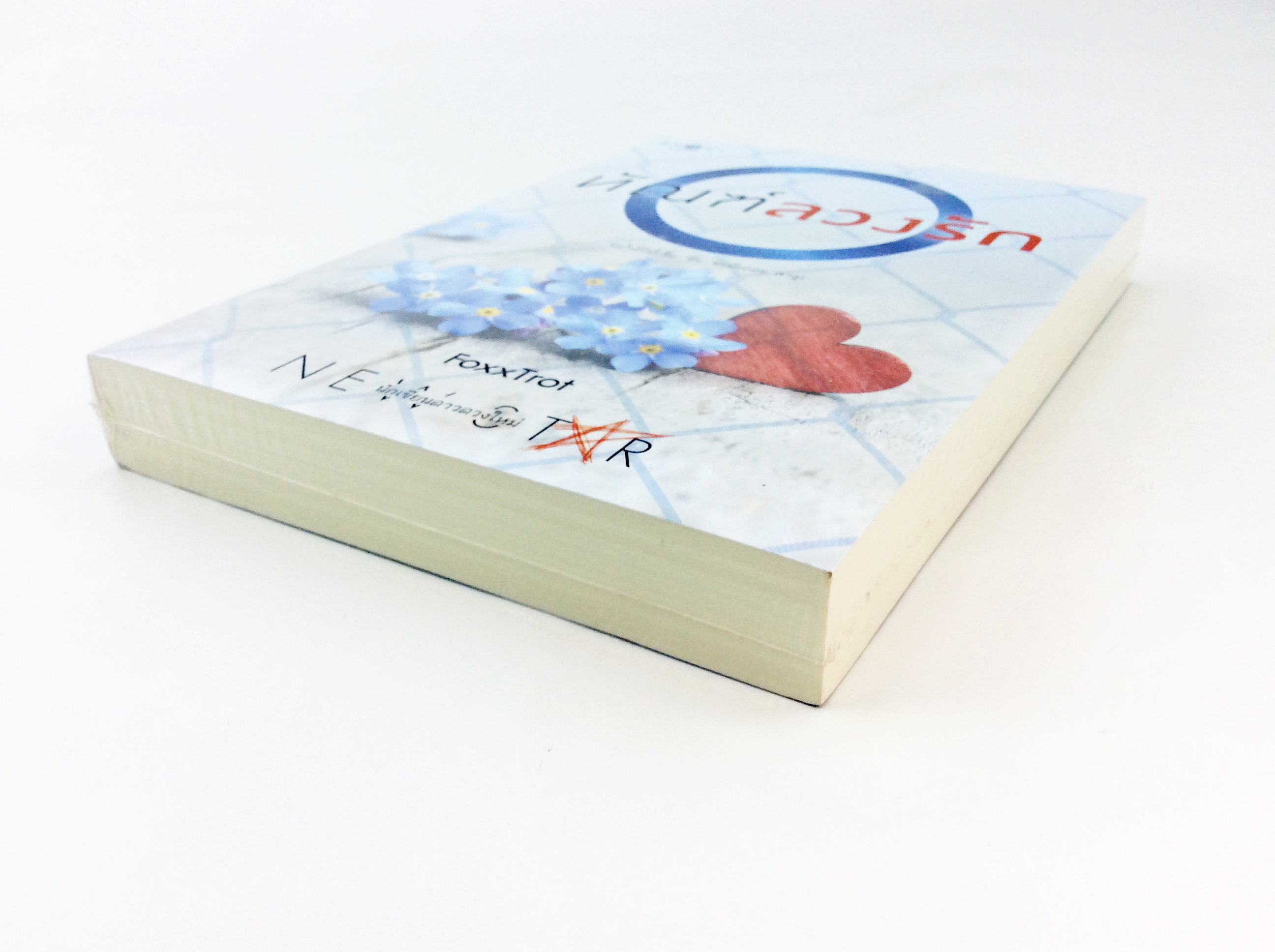 ทัณฑ์ลวงรัก นิยาย นิยายลดราคา หนังสือ นิยาย