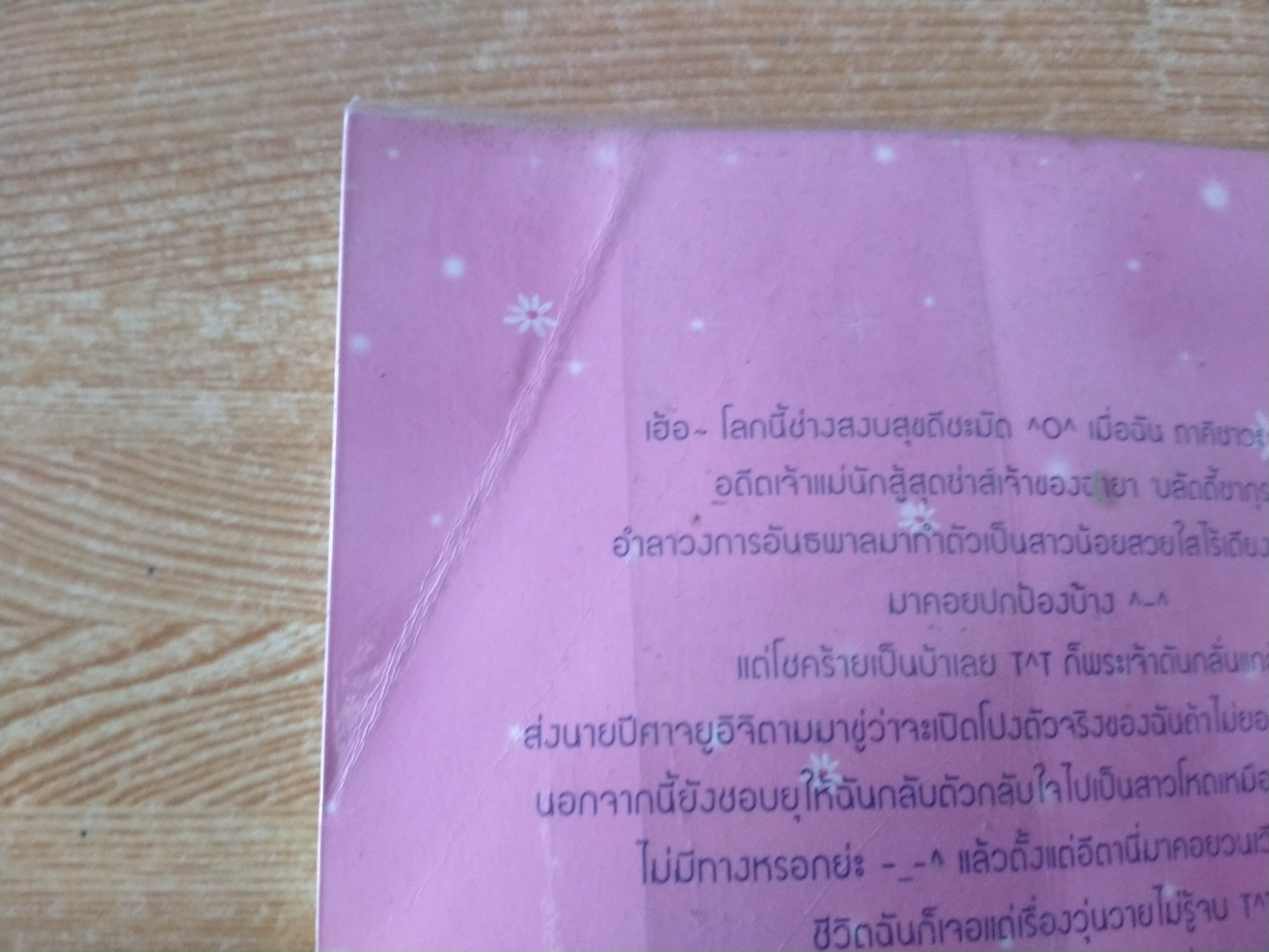 Bloody Sakura สะดุดรักสาวนักสู้