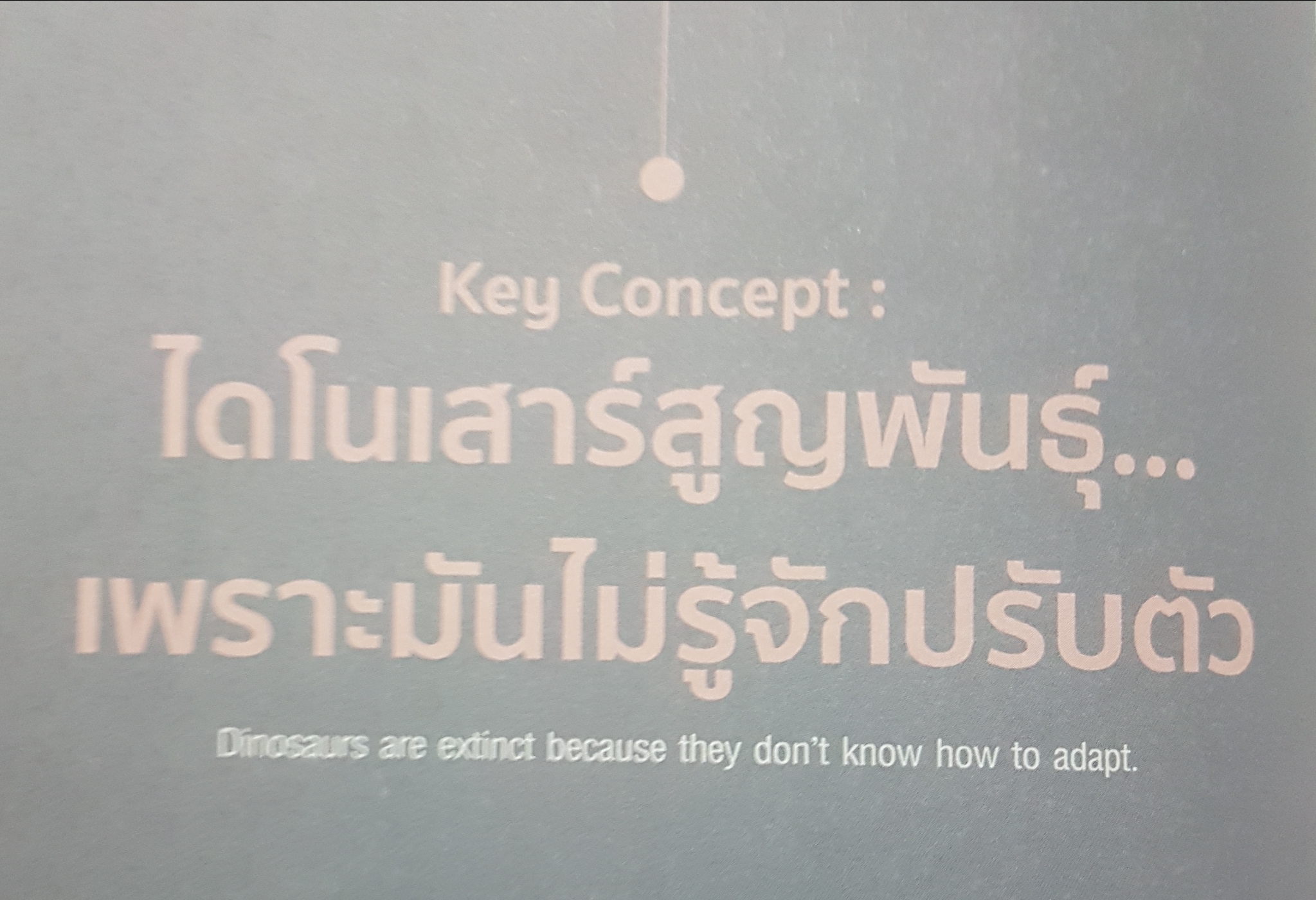 Digital Marketing Concept and Case Study