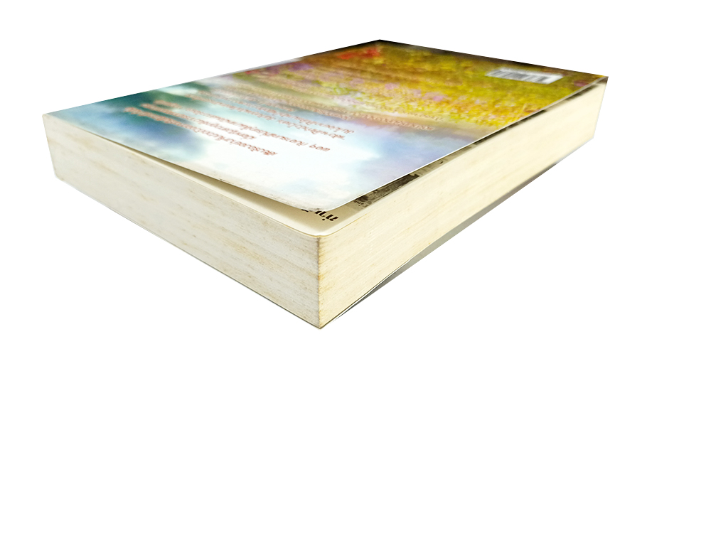 หนังสือราคาพิเศษ59บาท รอยอดีต รักร้ายซาตาน หนังสือ นิยาย นิยายโรแมนติก