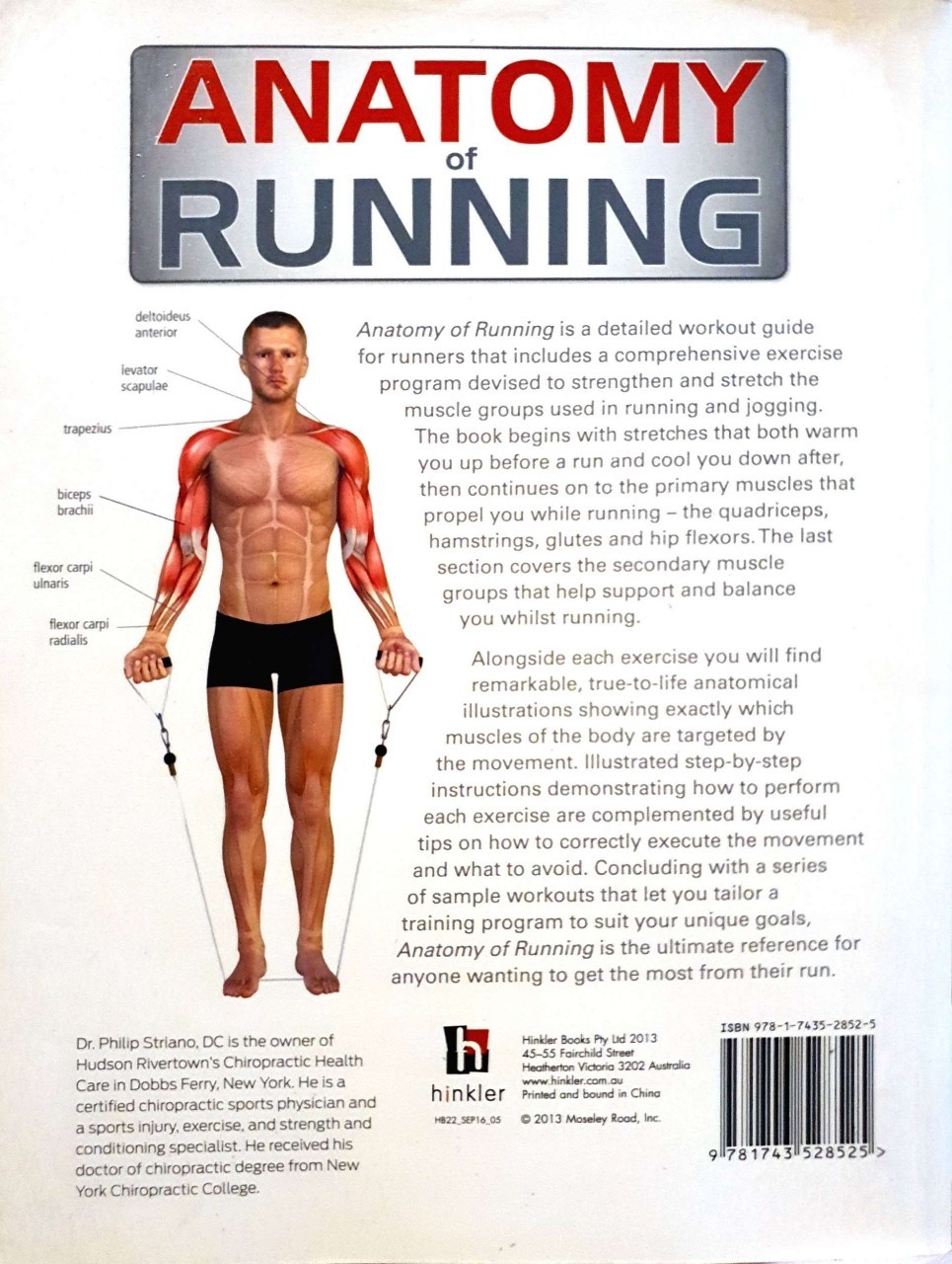 ANATOMY OF RUNNING : Phillip Striano,DC