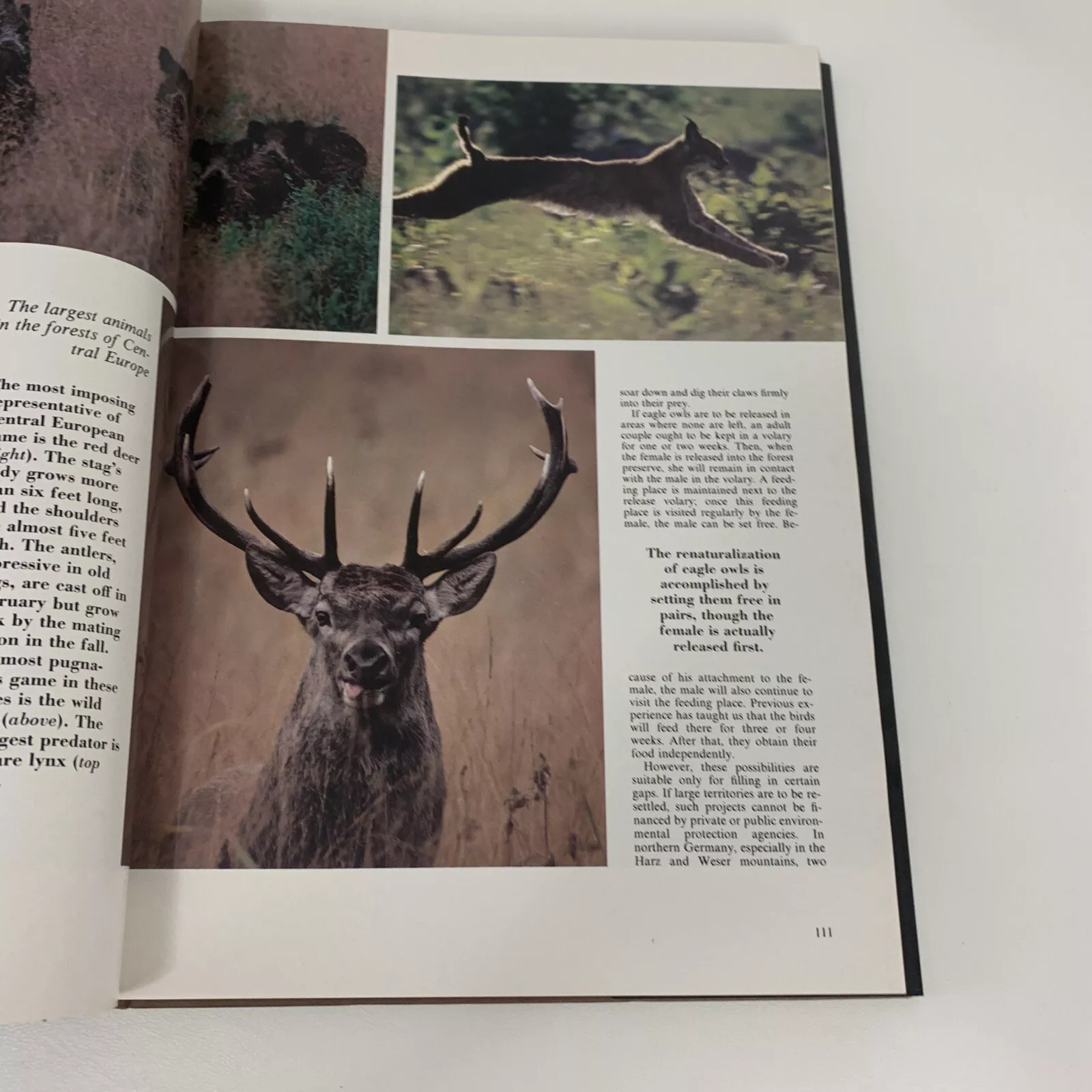 Wilderness Expeditions Hardcover – January 1, 1981