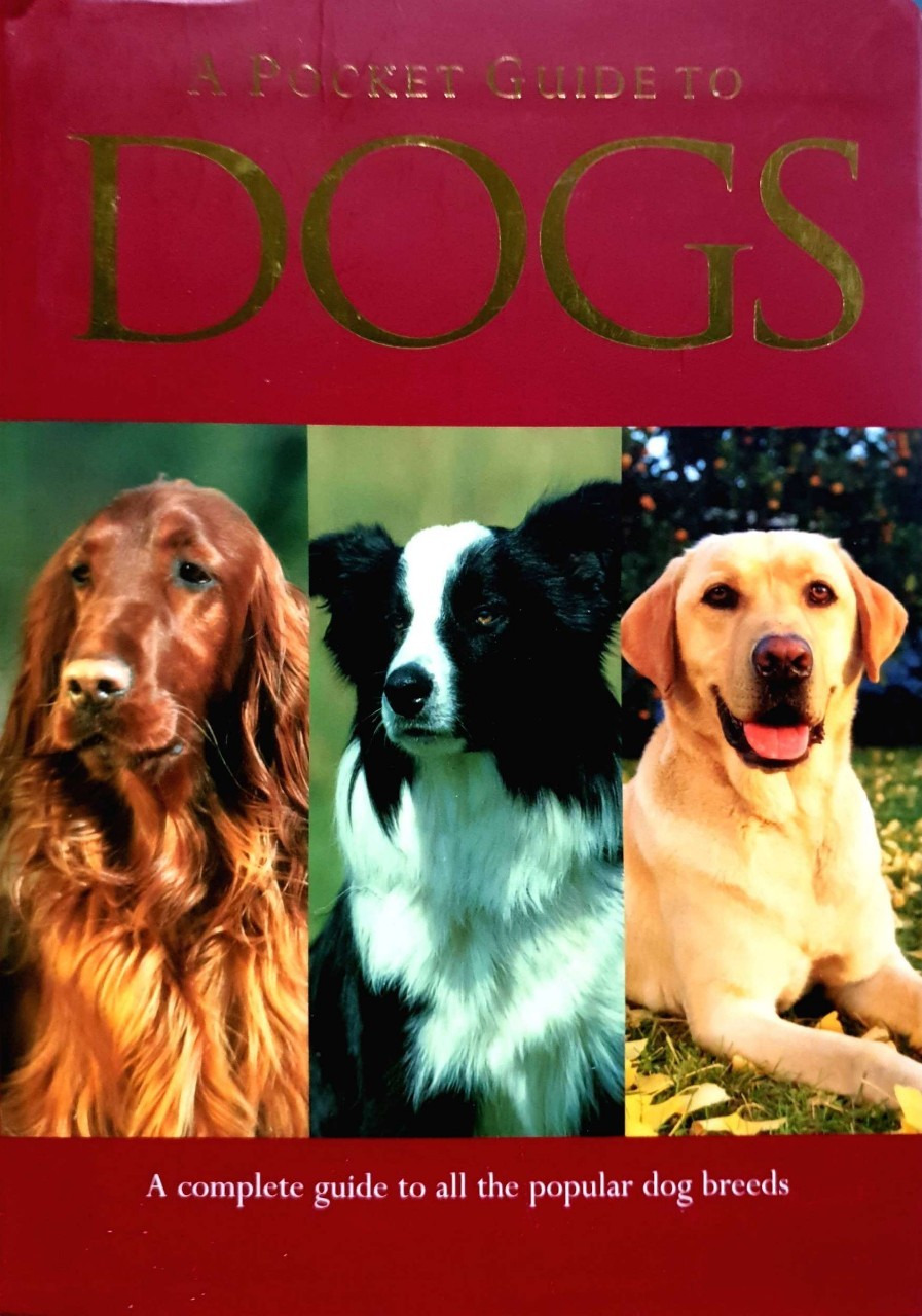 A Pocket Guide to Dogs : A Complete Guide to all the Popular Dog Breeds