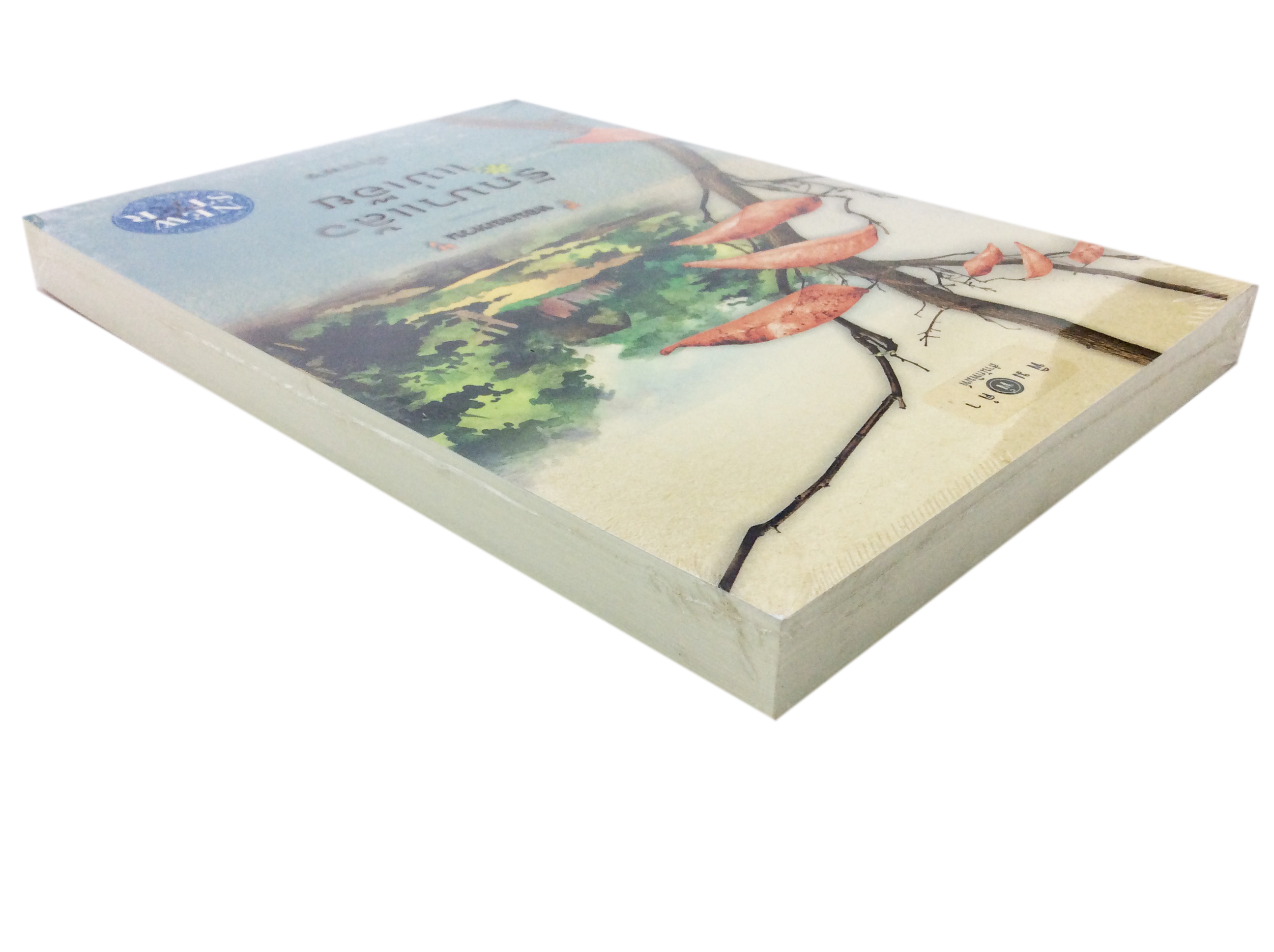 รักมาแล้วแม่เอ๊ย นิยาย นิยายลดราคา หนังสือนิยาย