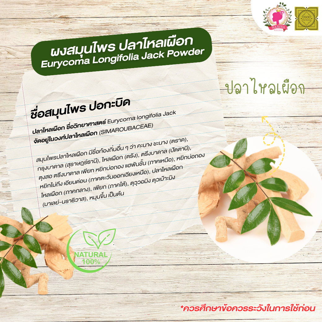 ผงปลาไหลเผือก (Eurycoma Longifolia Jack) ขนาด 500 1000 กรัม รากปลาไหลเผือก บดละเอียด สมุนไพร แท้ 100 % FG-HBP-061
