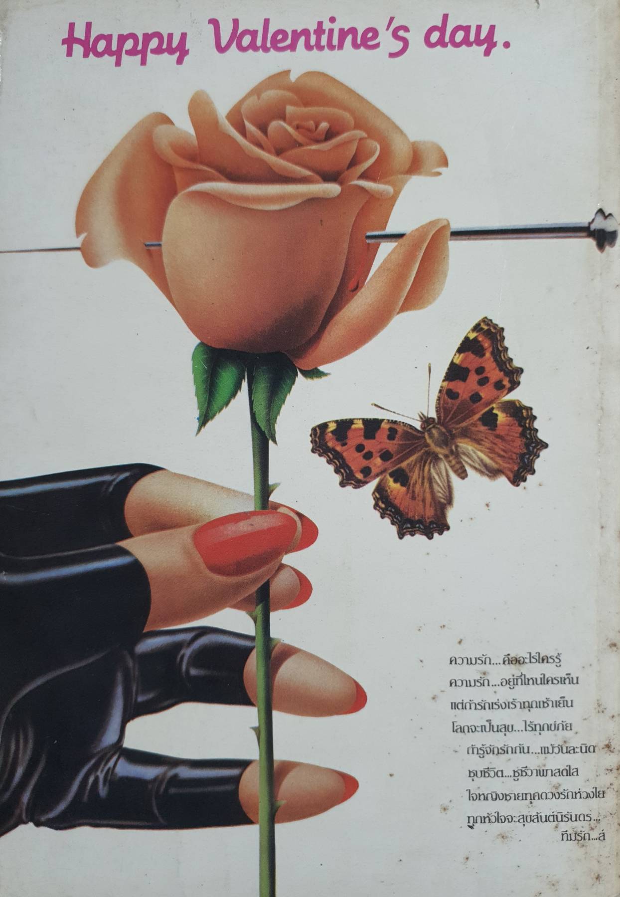 รัก วัยรุ่นนักศึกษา 14 กุมภาพันธ์ 1986 valentine's day