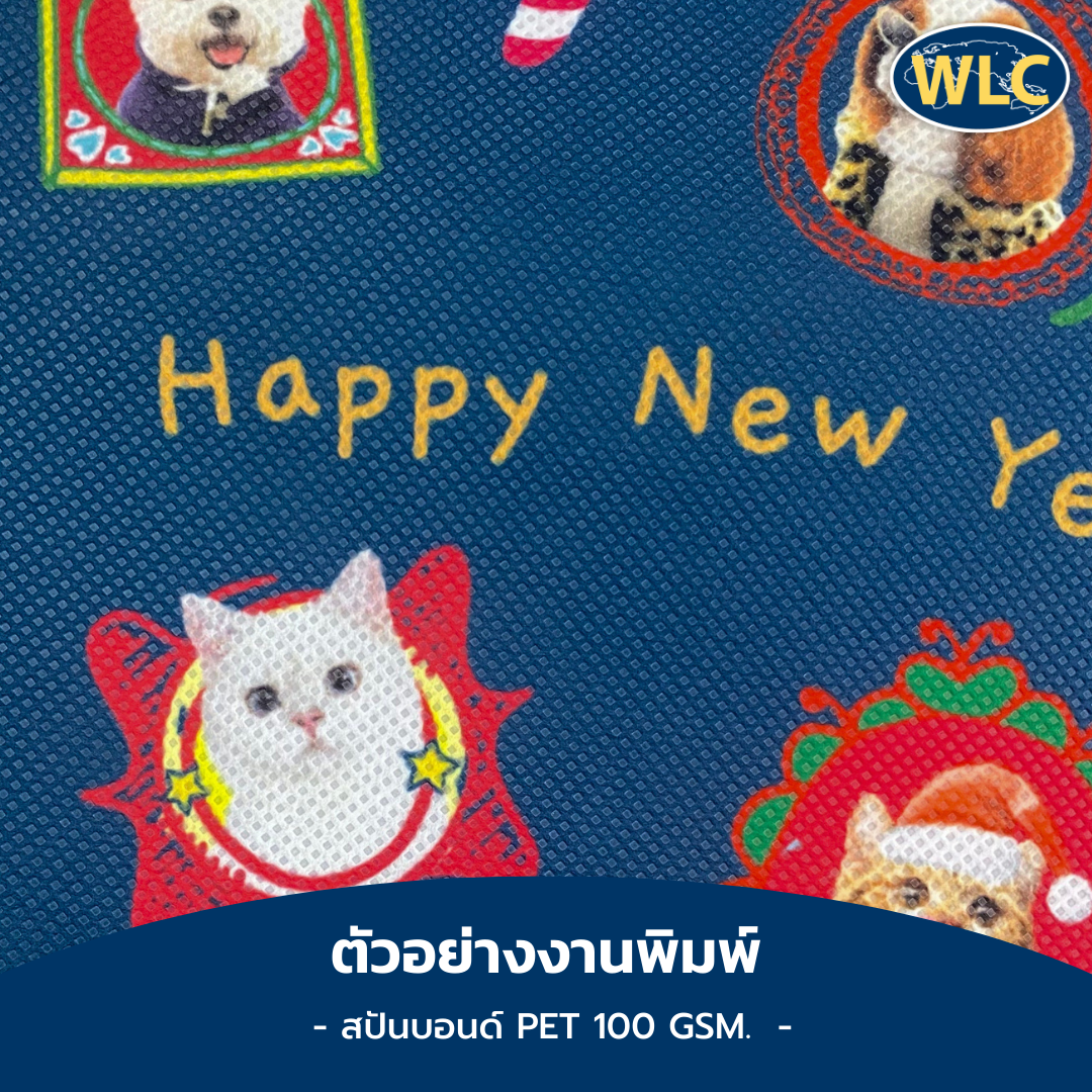 สปันบอน PET100GSM ขาว