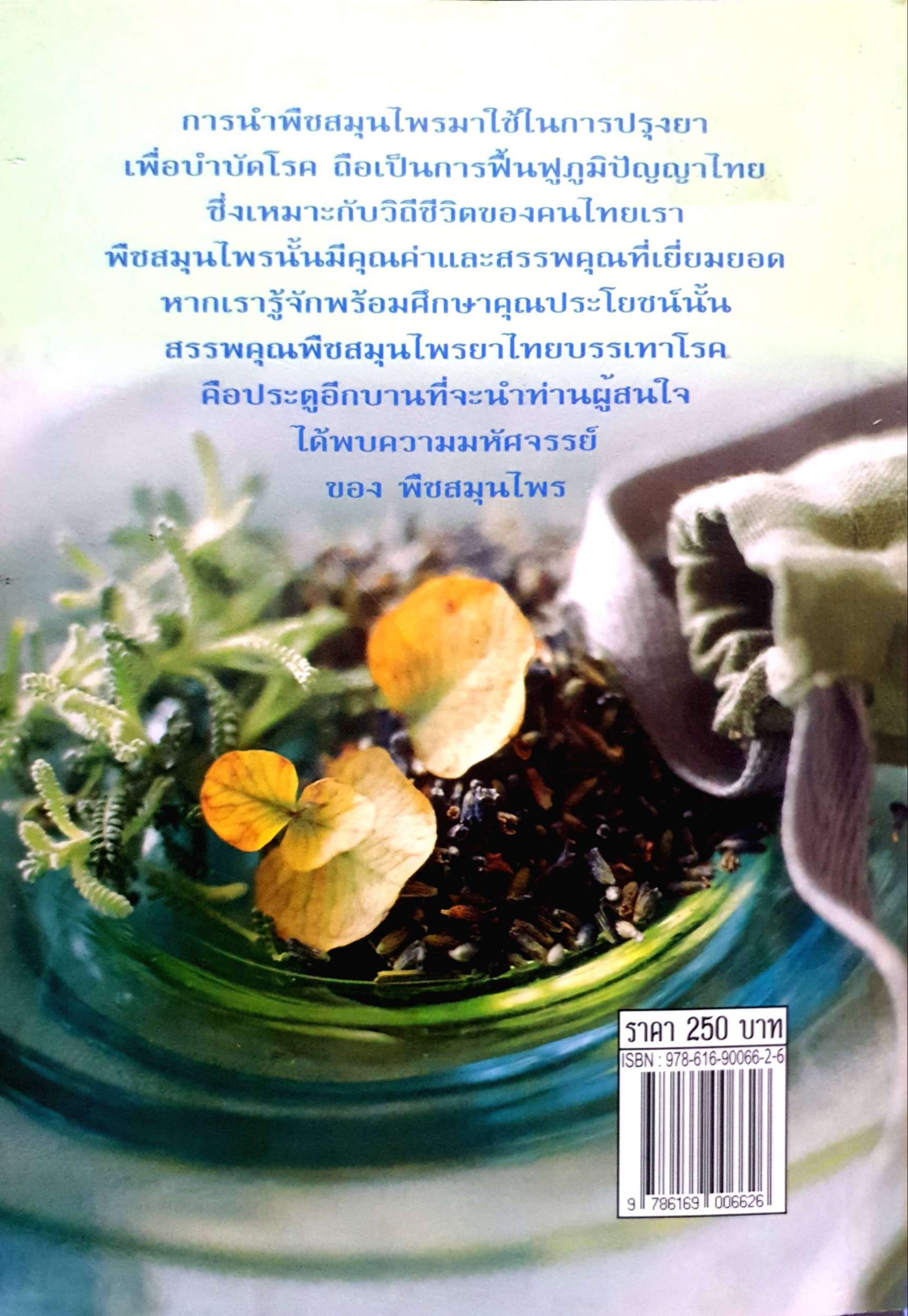 สรรพคุณพืชสมุนไพร ยาไทยบรรเทาโรค / สุธี วรคีรีนิมิต