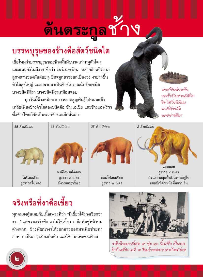 ภูมิใจไทย-ช้างไทย(อาเซียน)