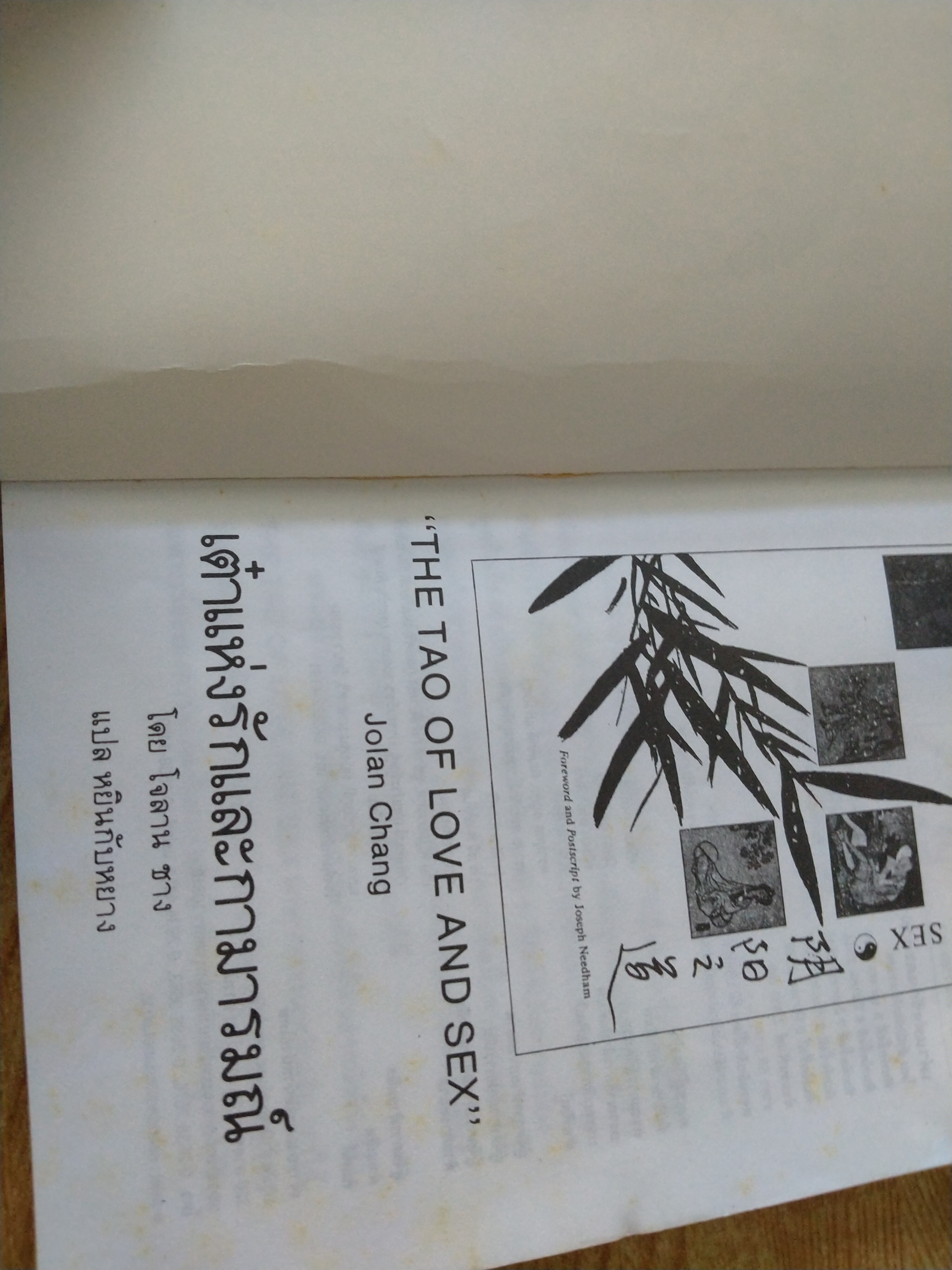 เต๋าแห่งรักและกามารมณ์