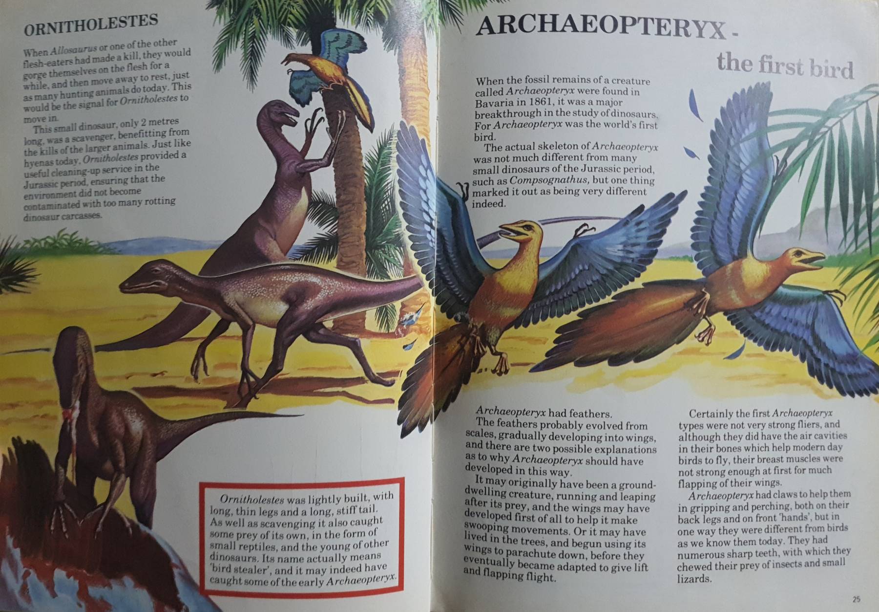 Let Me Tell You About Dinosaurs Hardcover ,1985