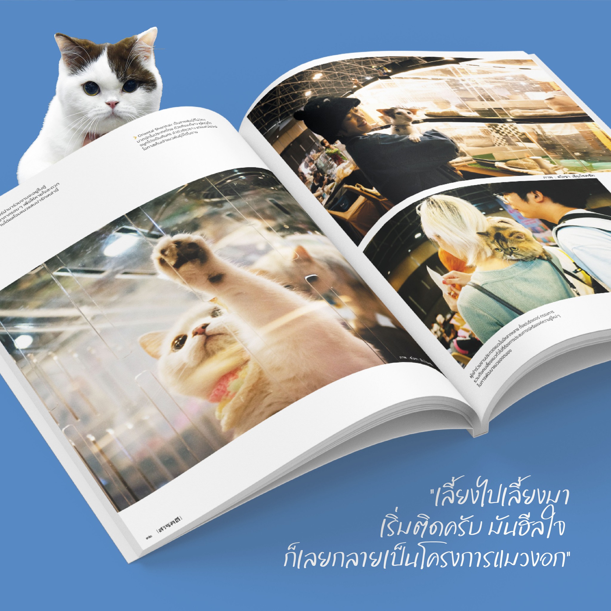 นิตยสารสารคดี ฉบับ 470 พฤษภาคม 2567 แมว🐱