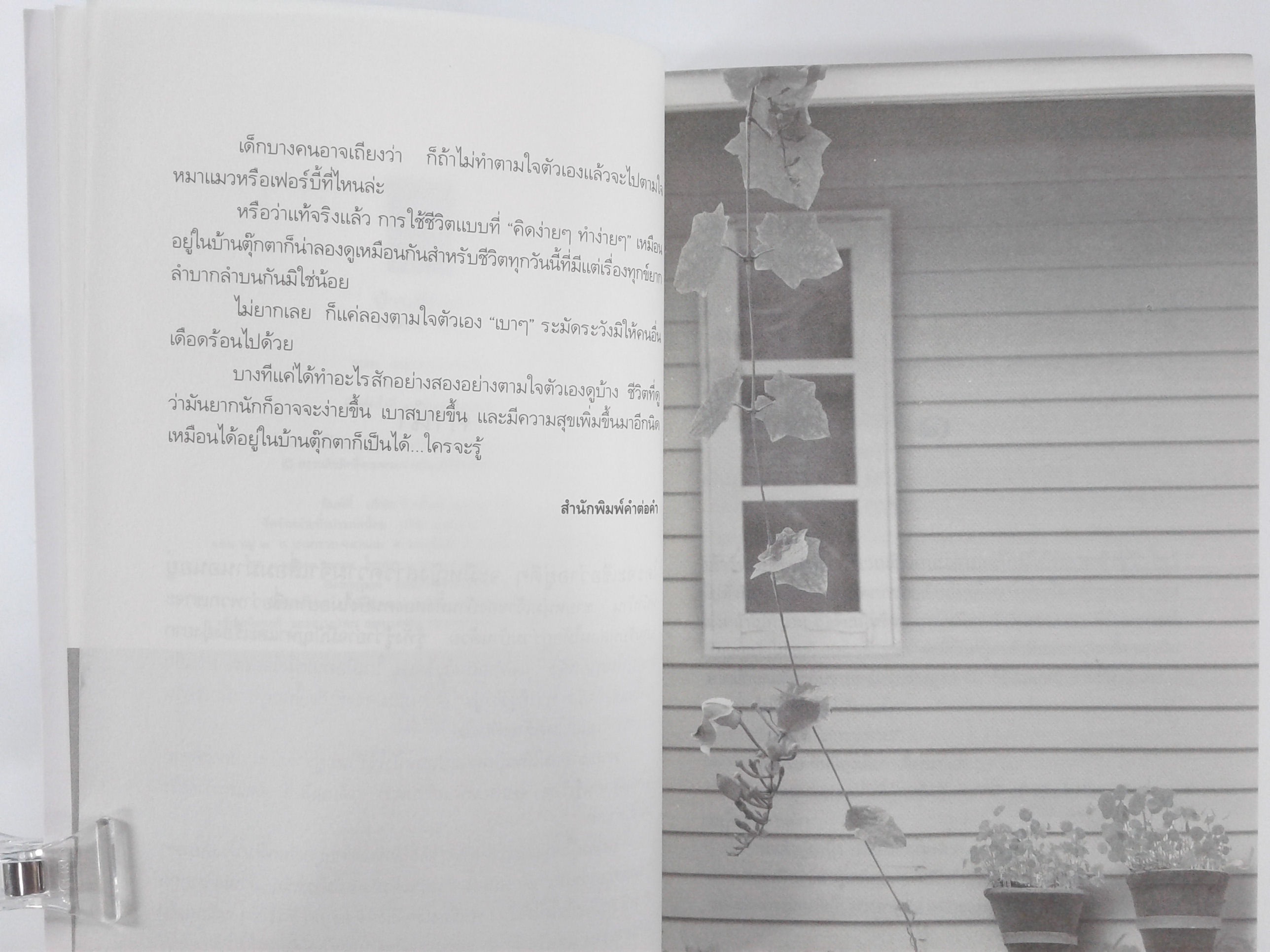 บ้านตุ๊กตา นิยายโรแมนติก หนังสือ หนังสือมือหนึ่ง นิยาย