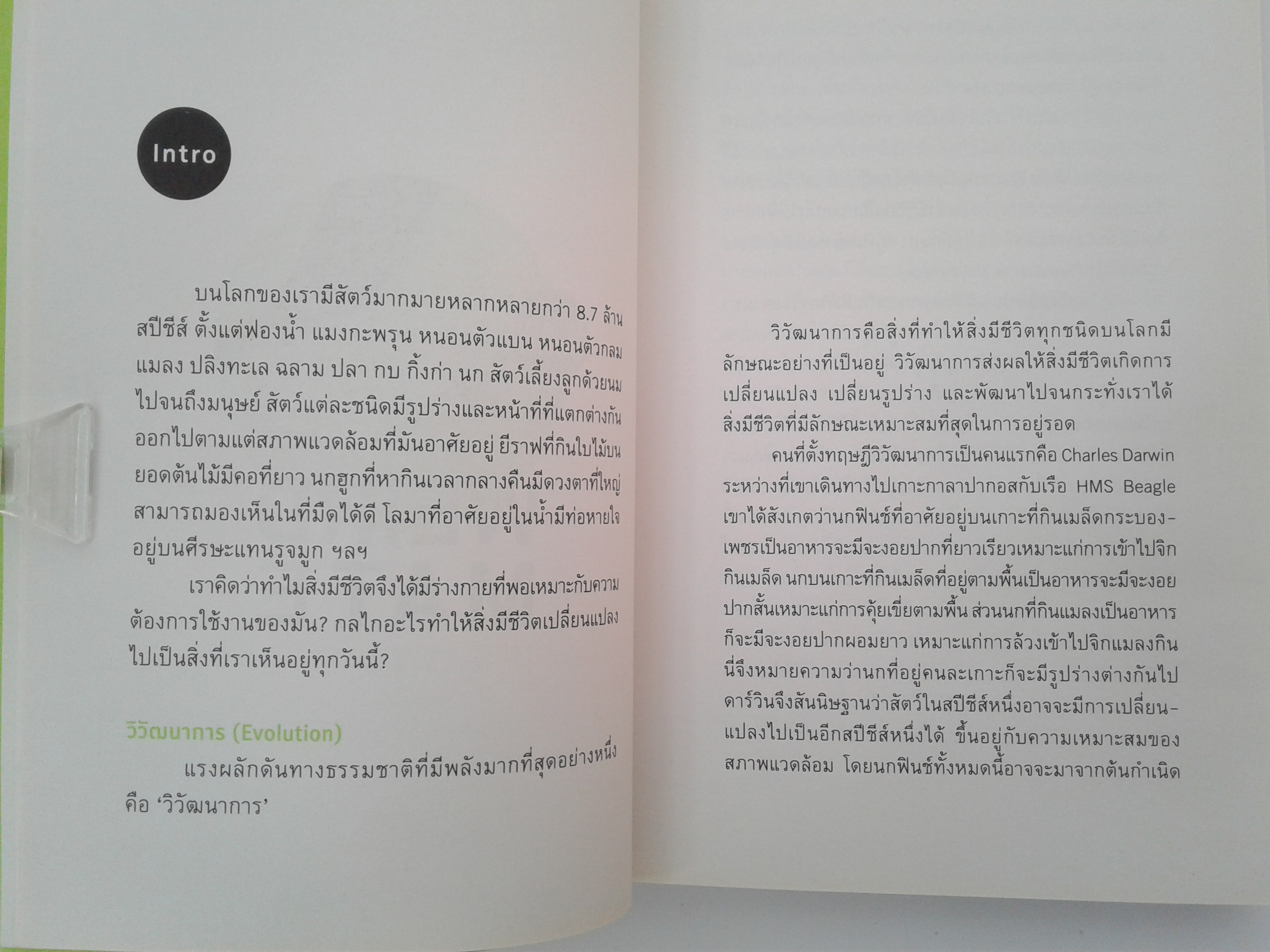 WEIRD MAtE (ชีวิตสัตว์)สัตว์โลกสัปดน หนังสือ หนังสือมือหนึ่ง