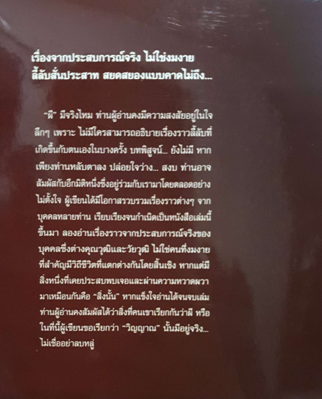 ผีหลอก วิญญาณหลอน
