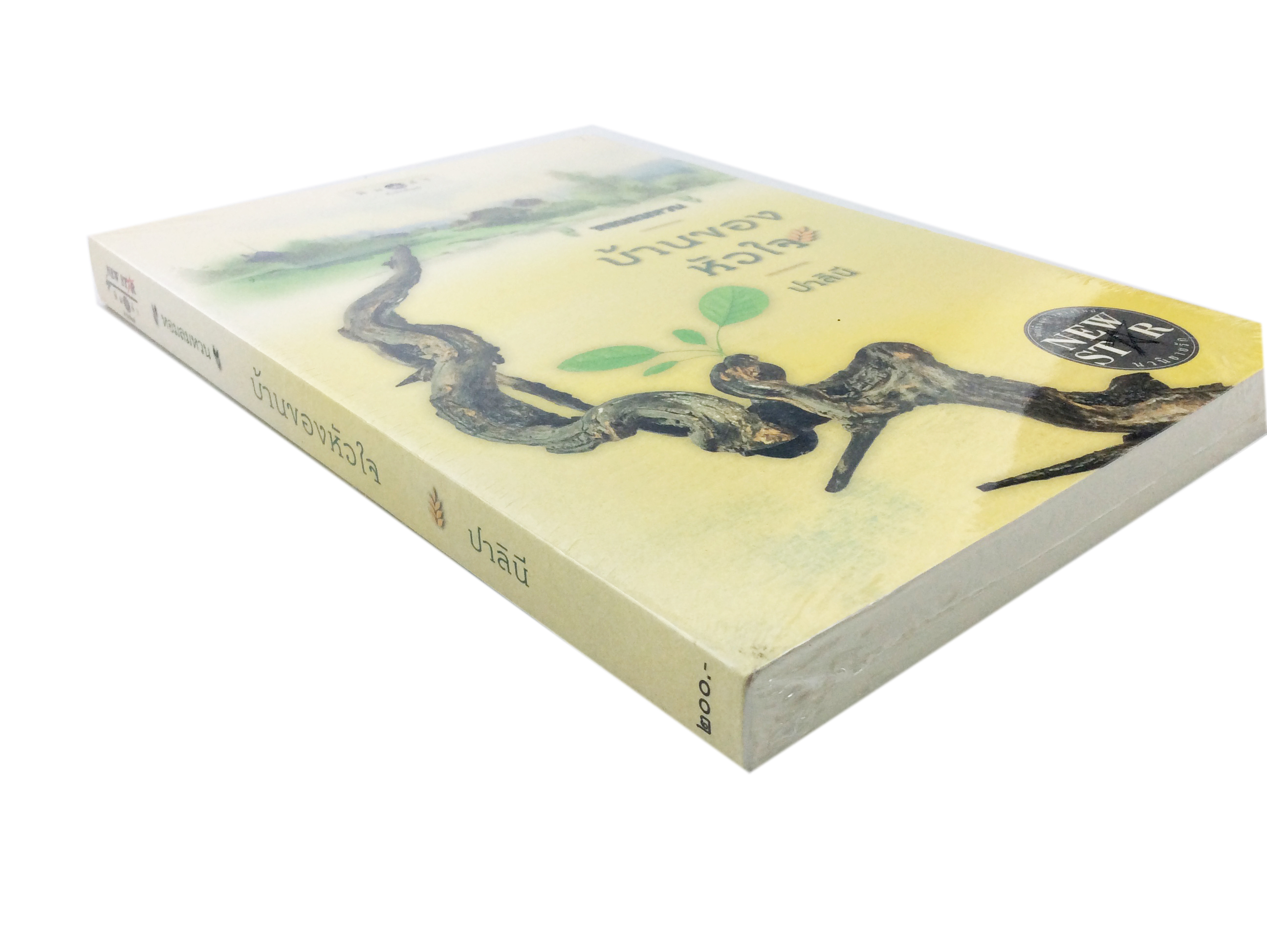 บ้านของหัวใจ นิยาย นิยายลดราคา หนังสือนิยาย