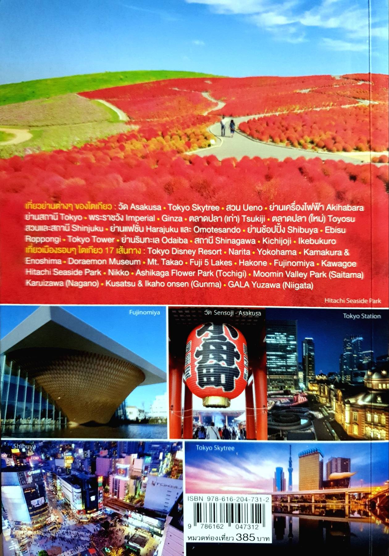 เที่ยวญี่ปุ่น Tokyo และเมืองรอบ ๆ