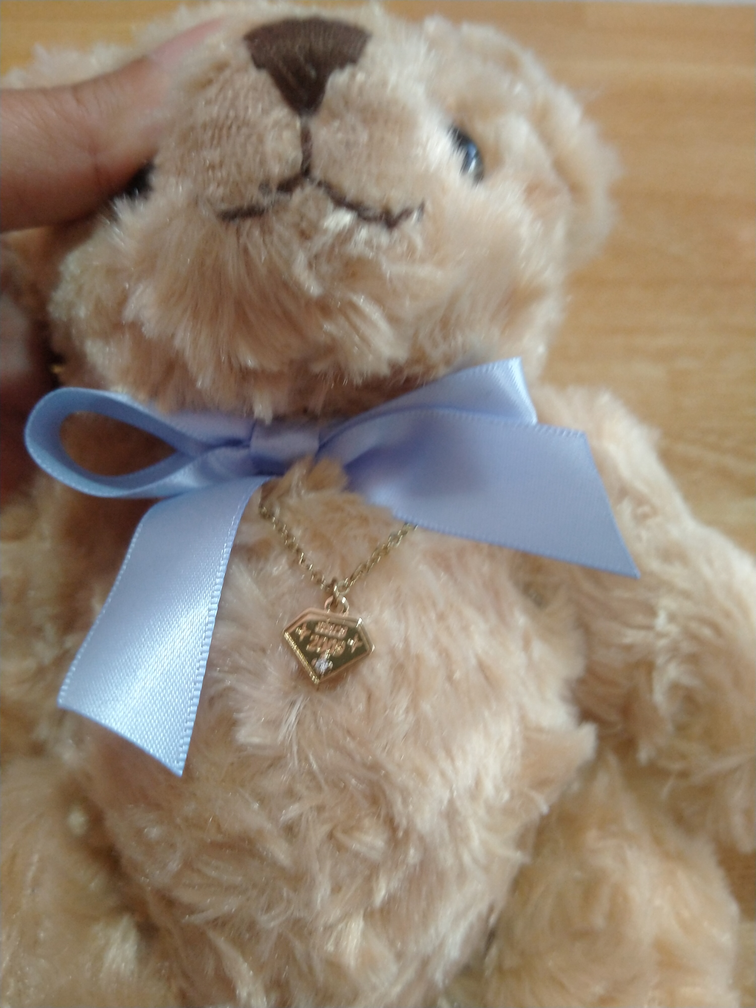 ตุ๊กตาหมีผูกโบว์ฟ้า