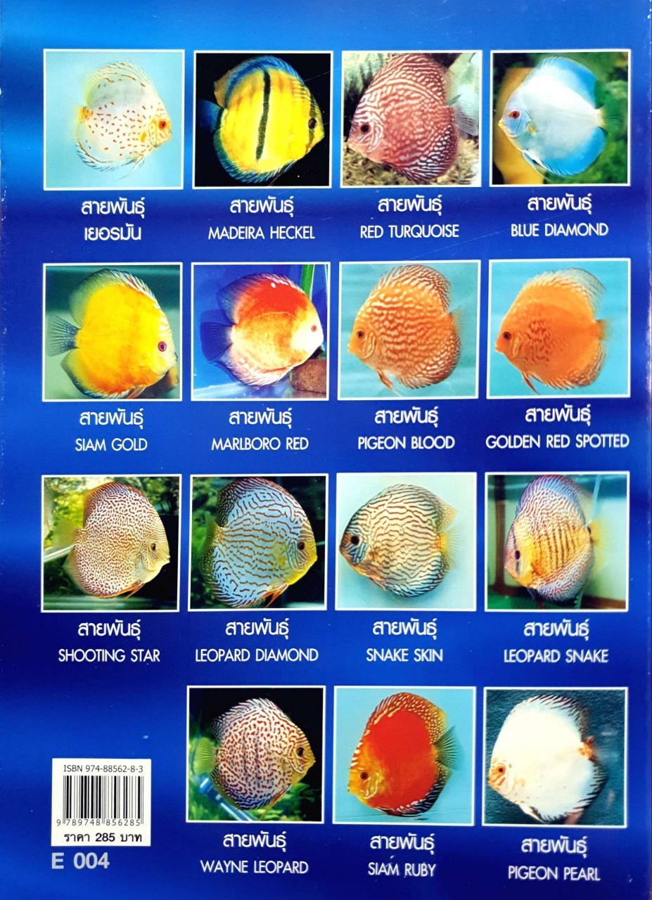 ปอมปาดัวร์ DISCUS FISHES : กฤษณา แก้วชะอุ่ม,ภีระ ไกรแสงสี