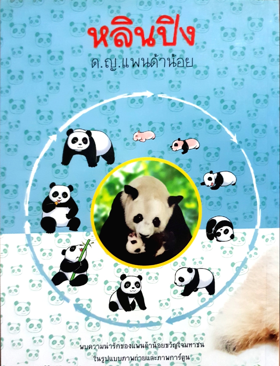 หลินปิง ด.ญ.แพนด้าน้อย