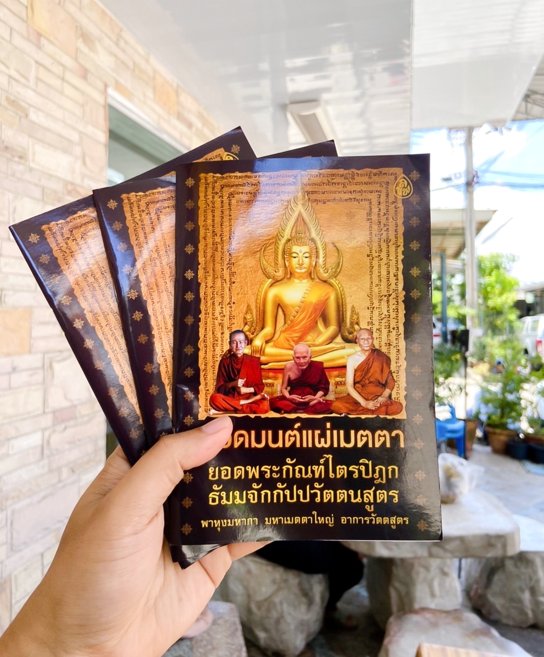 หนังสือสวดมนต์แผ่เมตตา ยอดพระกัณฑ์ไตรปิฎก (แพค 10 เล่ม) หนังสือธรรมะ บจ.สำนักพิมพ์เลี่ยงเชียง เพียรเพื่อพุทธศาสน์
