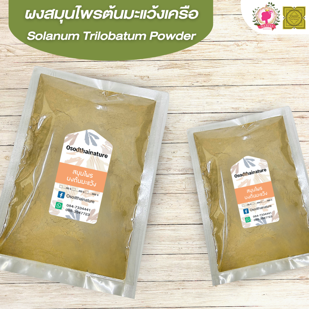 ผงต้นมะแว้ง (Solanum Trilobatum Powder) ขนาด 500 1000 กรัม ต้นมะแว้ง บดละเอียด สมุนไพร แท้100% FG-HBP-036