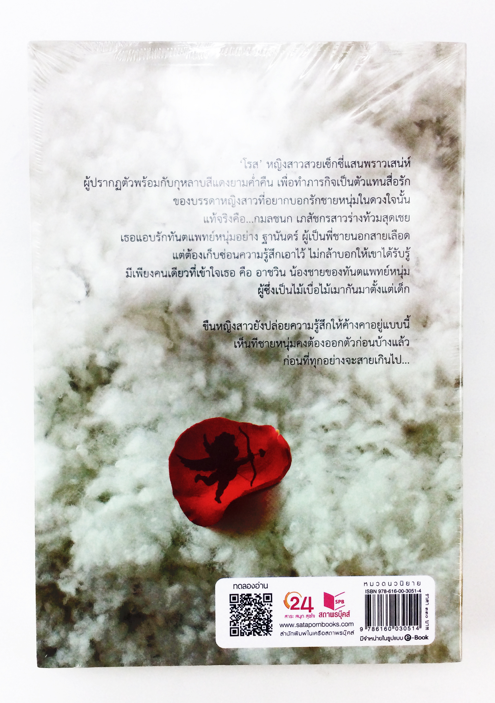 กามเทพเร้นรัก นิยาย นิยายลดราคา หนังสือ นิยาย