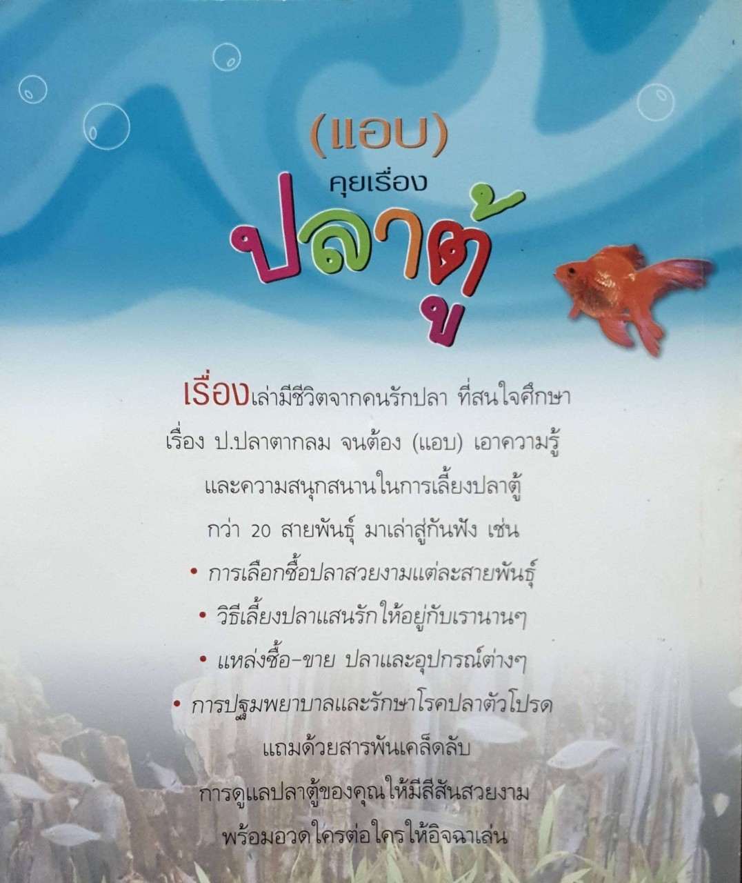 แอบคุยเรื่องปลาตู้