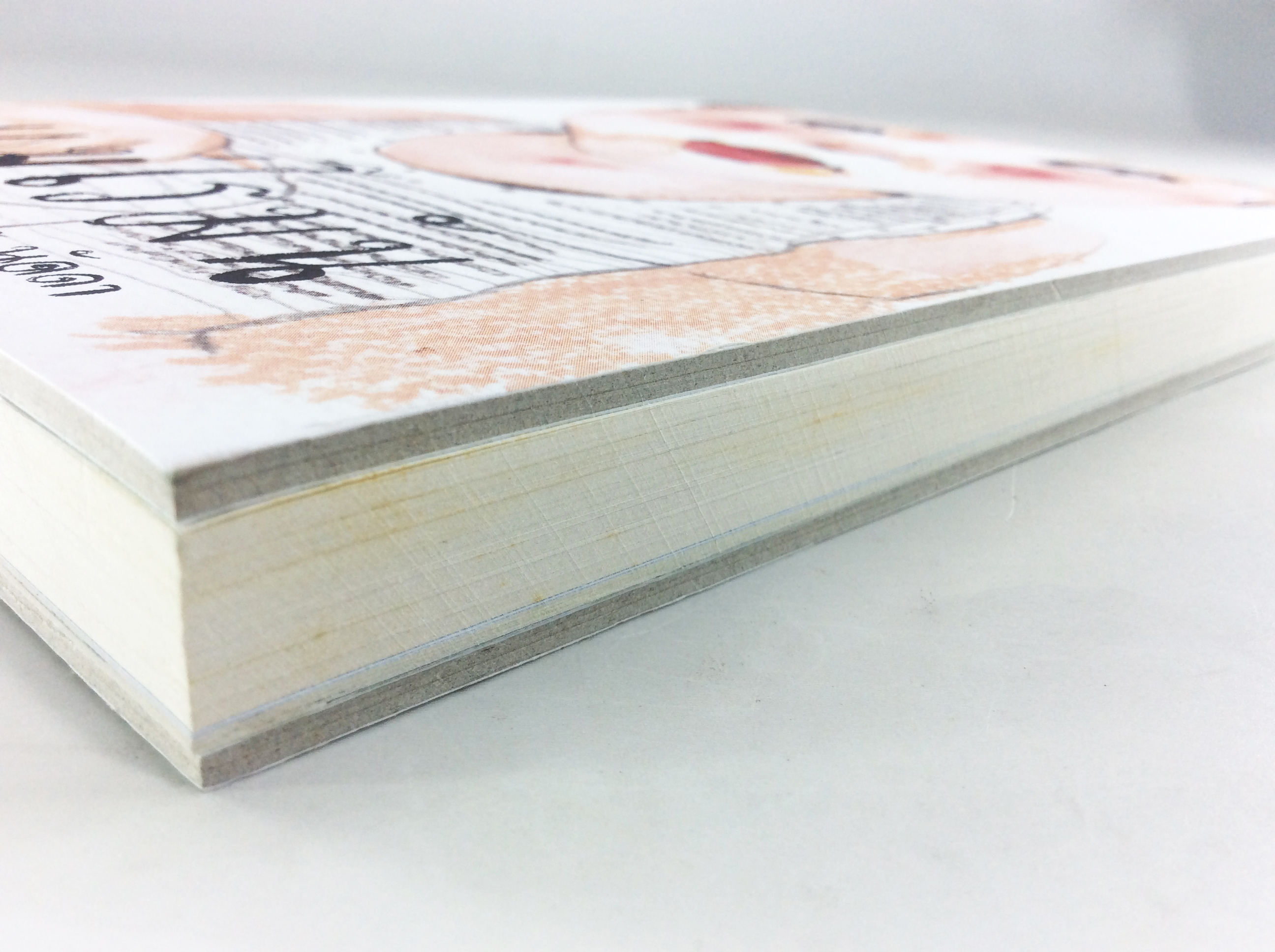 แม่โรมัน บันทึกหนังสือที่บอกเล่าเรื่องราวเกี่ยวกับลูกน้อยที่ชื่อ ..โรมัน หนังสือ ครอบครัว การเลี้ยงลูก แม่และเด็ก หนังสือ [คุ้มอักษรไทย]