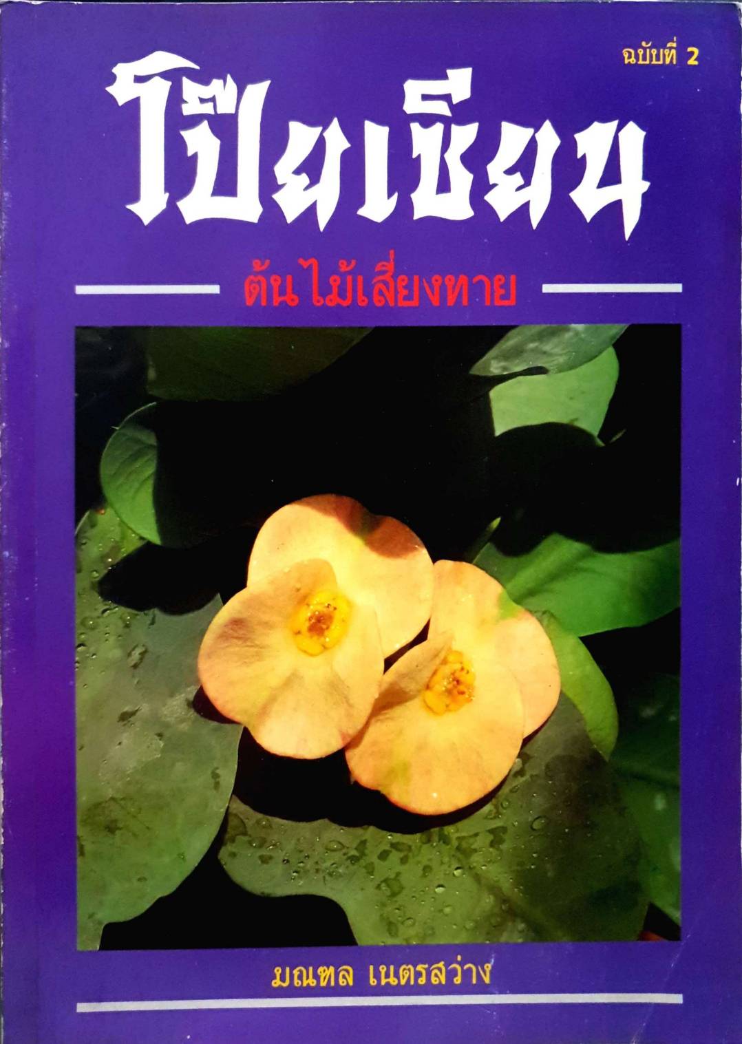 โป๊ยเซียน ต้นไม้เสี่ยงทาย เล่ม2 : มณฑล เนตรสว่าง ขนาดA4