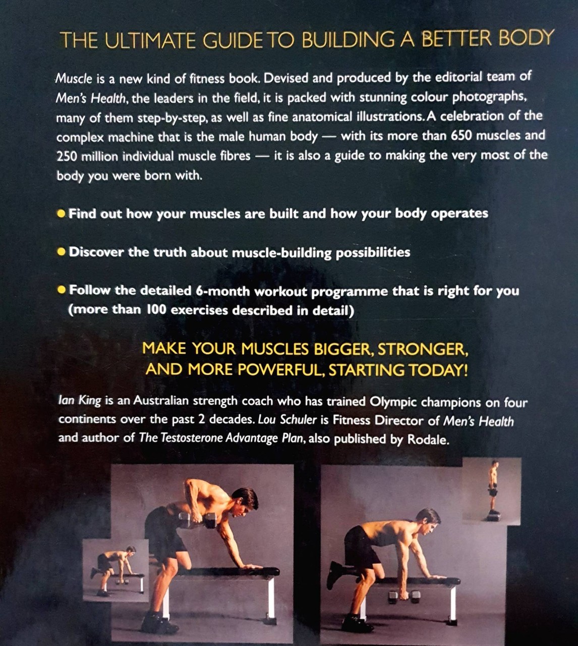 Men's Health Muscle (The Ultimate Guide to Building a Better Body) : Alan King / Rodale